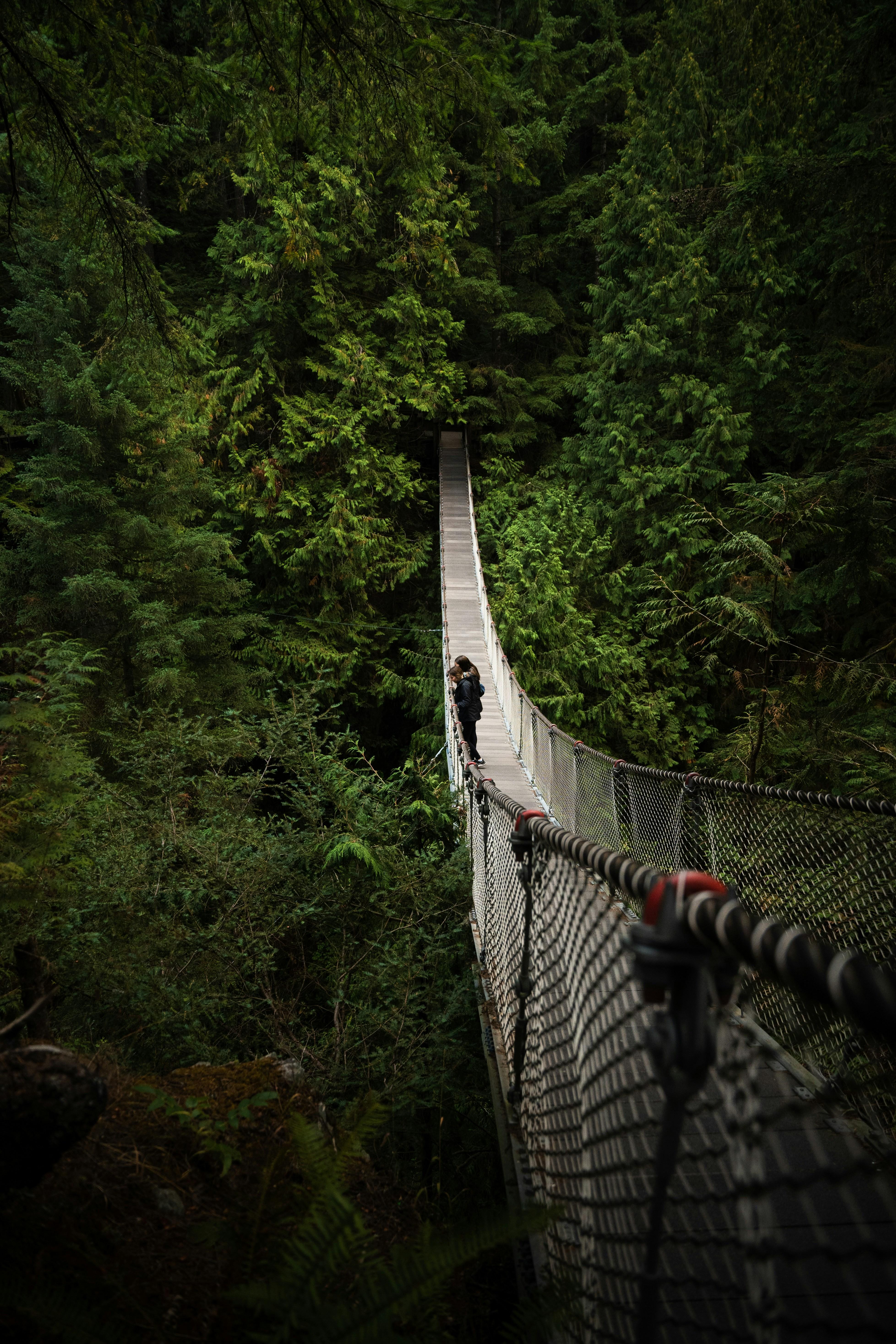 Vancouver: Guided Hiking Highlights at Grouse & Lynn Canyon – Vancouver, Canada