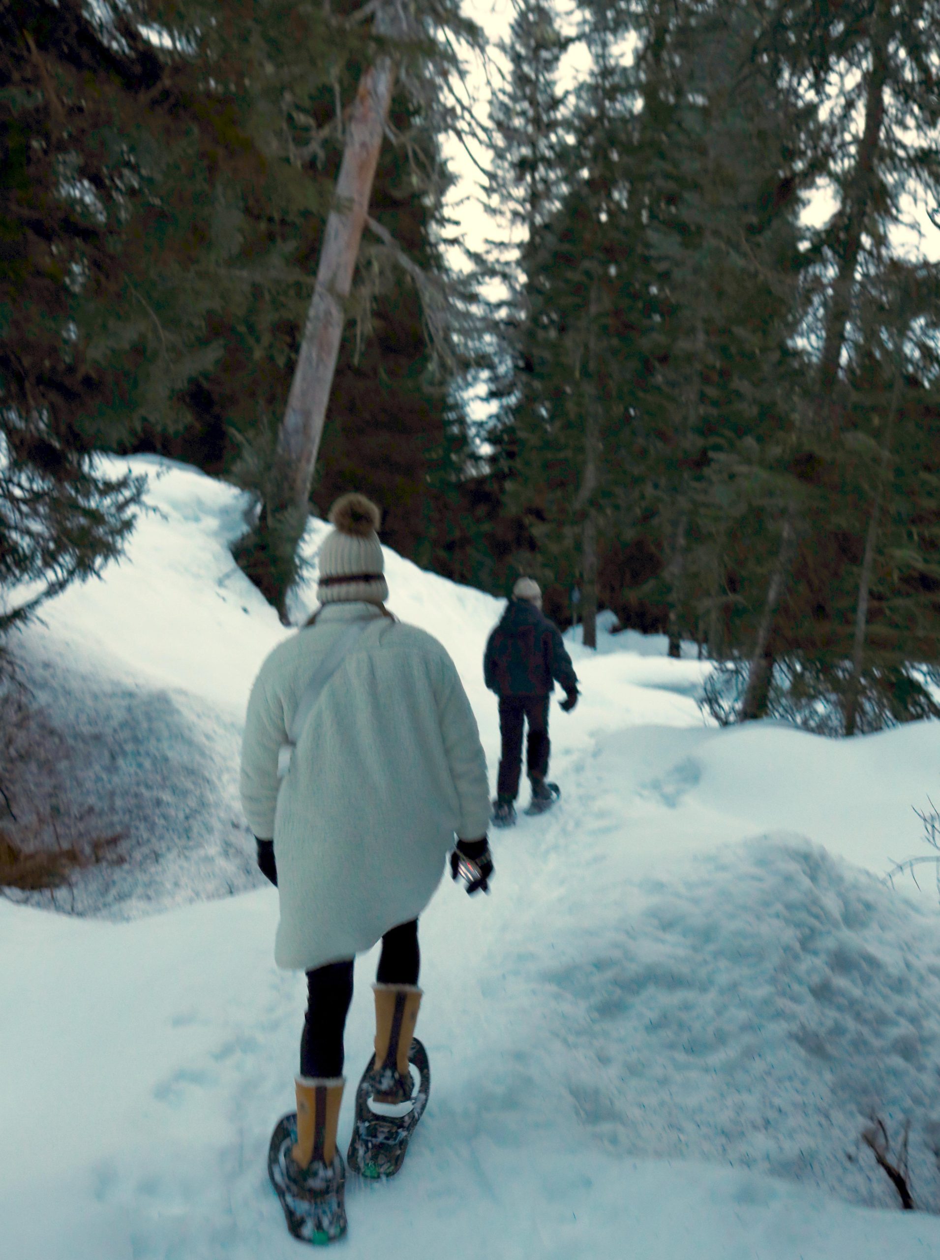 Vancouver: Whistler Day with Snowshoeing/Nordic Skiing – Vancouver, Canada