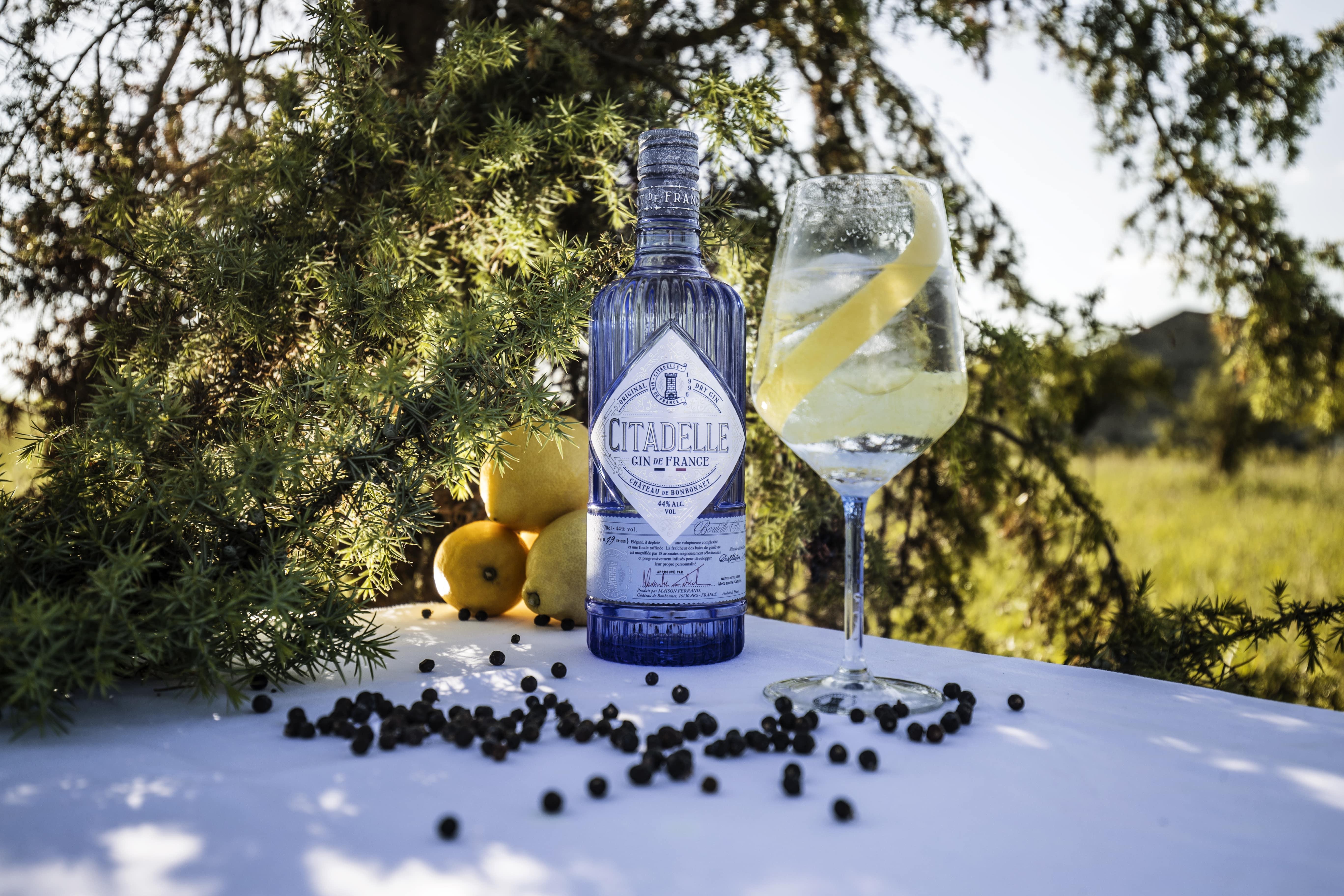 Visit Citadelle Gin Distillery – Cognac, France