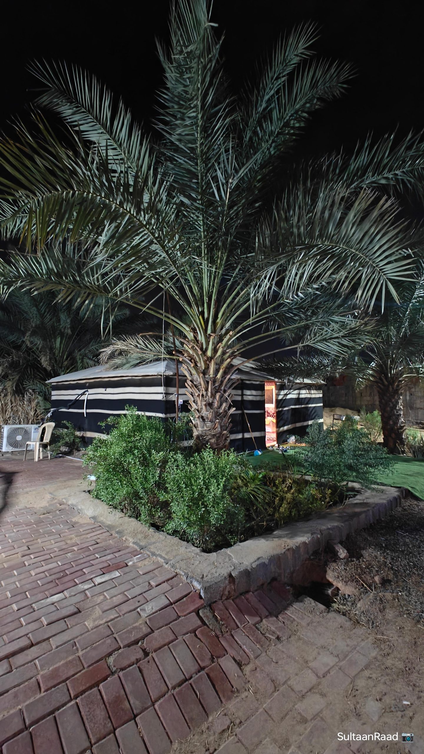 Visiting Site for Horses of Medinah – Saudi Arabia