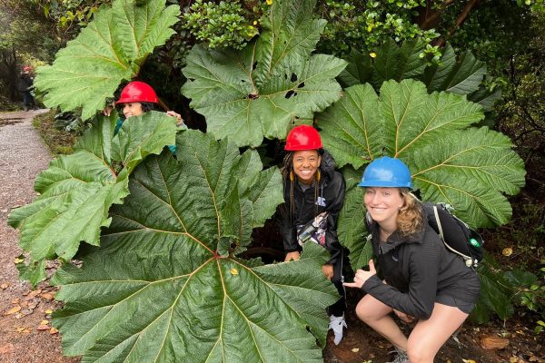 Volcan Poas: Volcan Poas National Park Flora & Fauna Tour – Poás Volcano National Park, Costa Rica