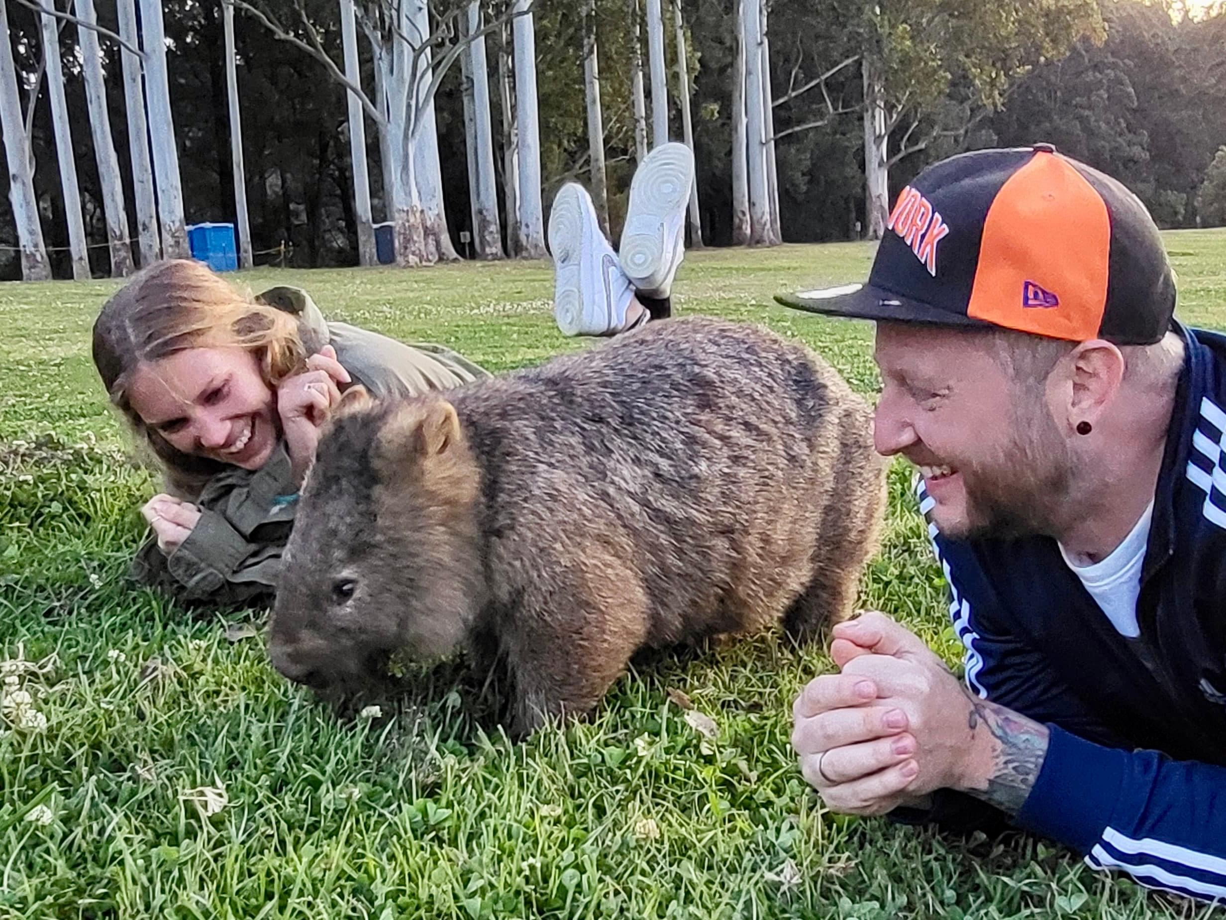 WILD Wombats and Kangaroo Experience, All Inclusive, Sydney – Sydney, Australia