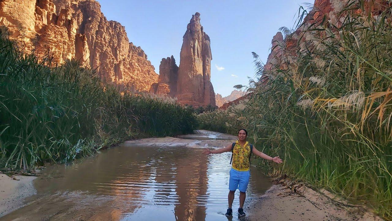 Wadi Al Disah Day Tour From Al Ula – Saudi Arabia