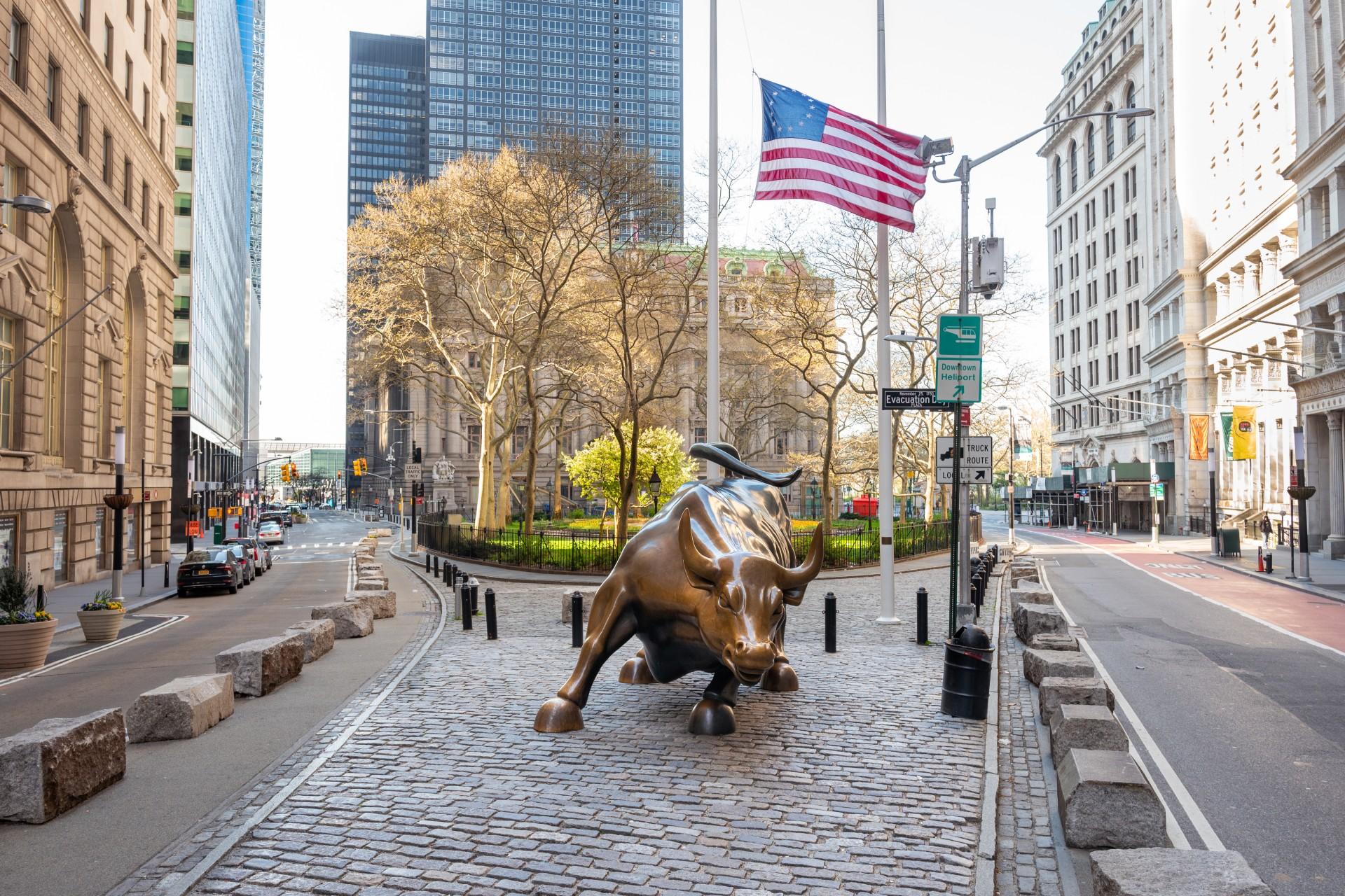 Wall Street and Financial District Private Walking Tour – New York City, New York
