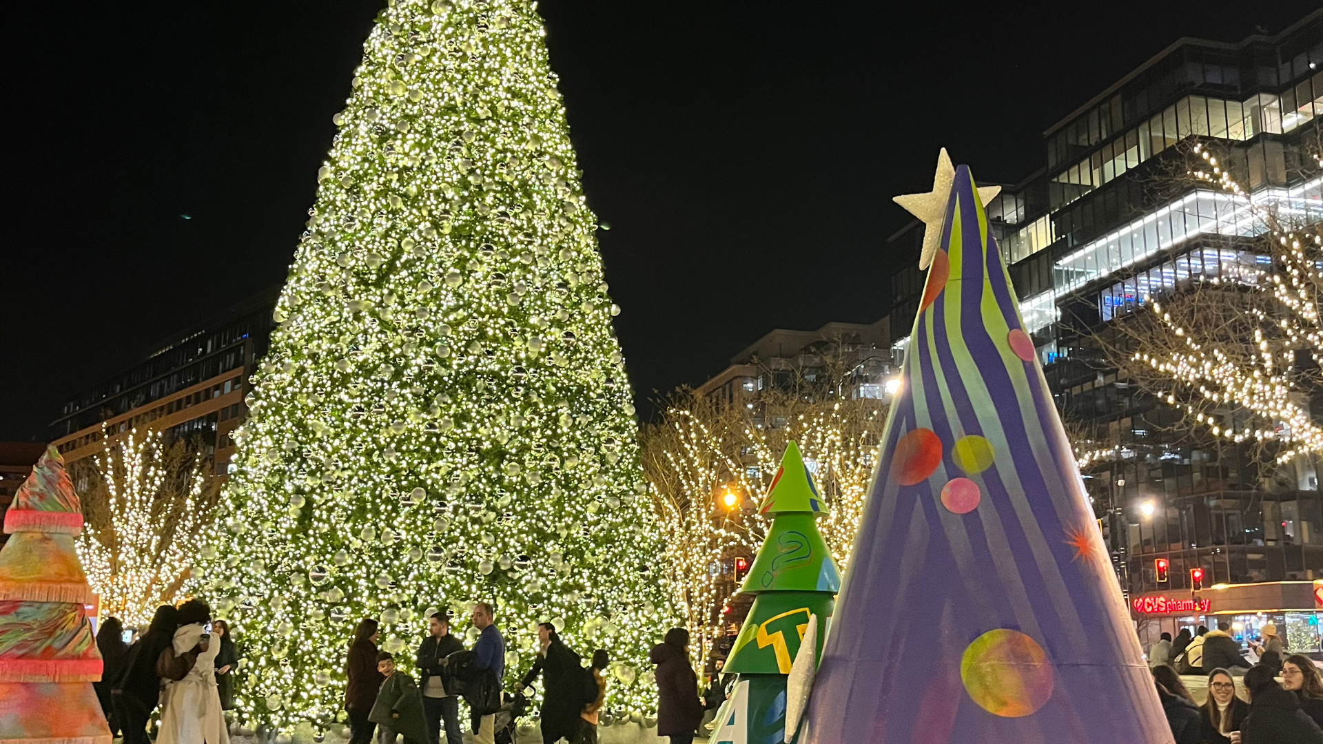 Washington, DC: Christmas Tree & Holiday Lights Bus Tour – Washington DC