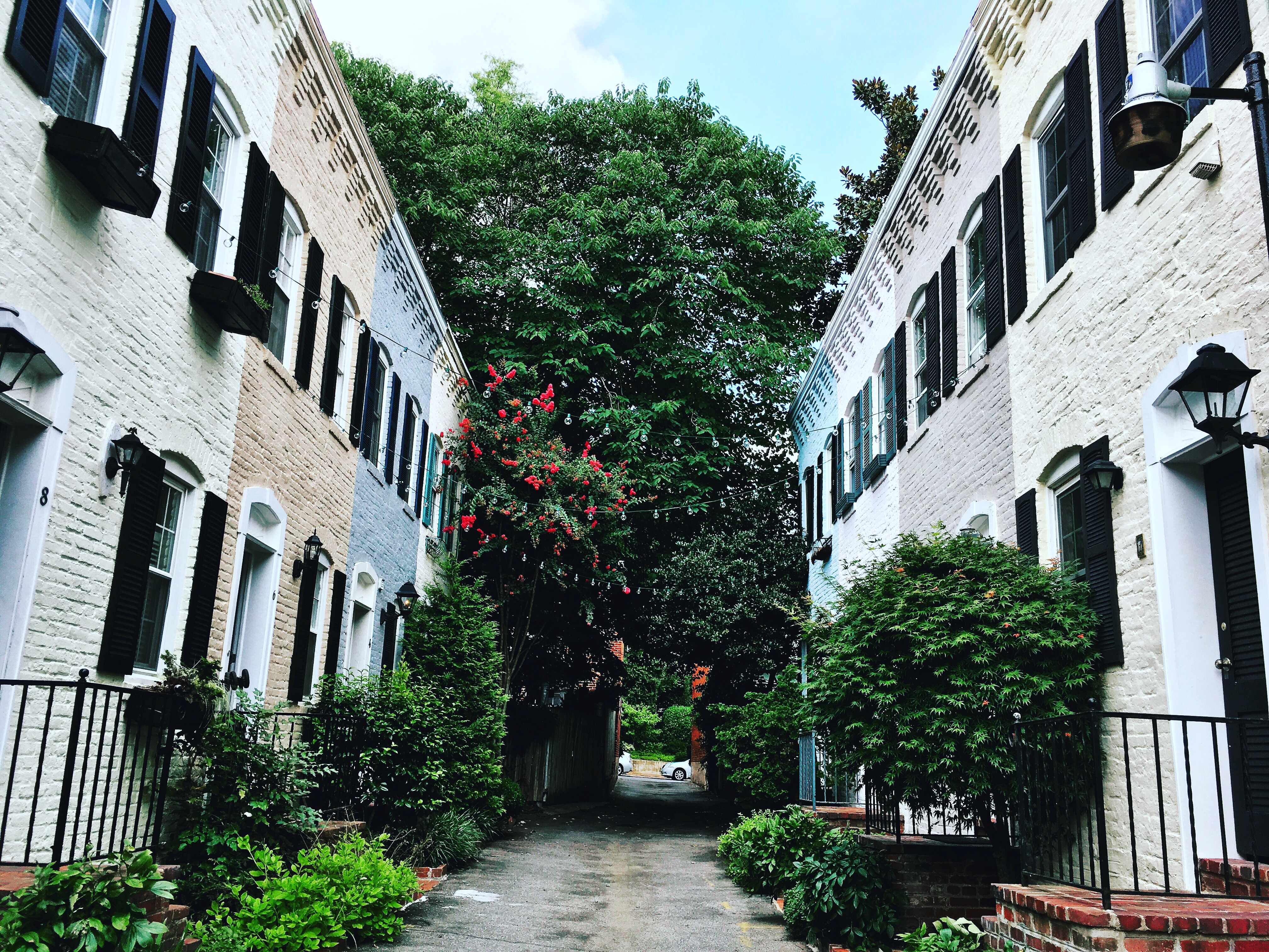 Washington, DC: Georgetown Architecture Walking Tour – Washington DC