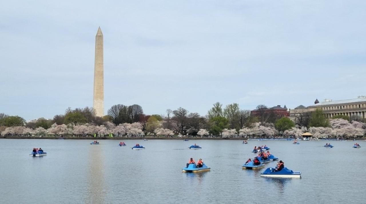 Washington DC: Tidal Basin Pedal Boat Rental – Washington, Washington DC
