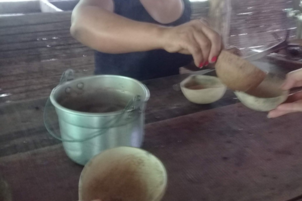 Watsi: chocolate and waterfall with transportation and lunch – Puerto Viejo de Talamanca, Costa Rica