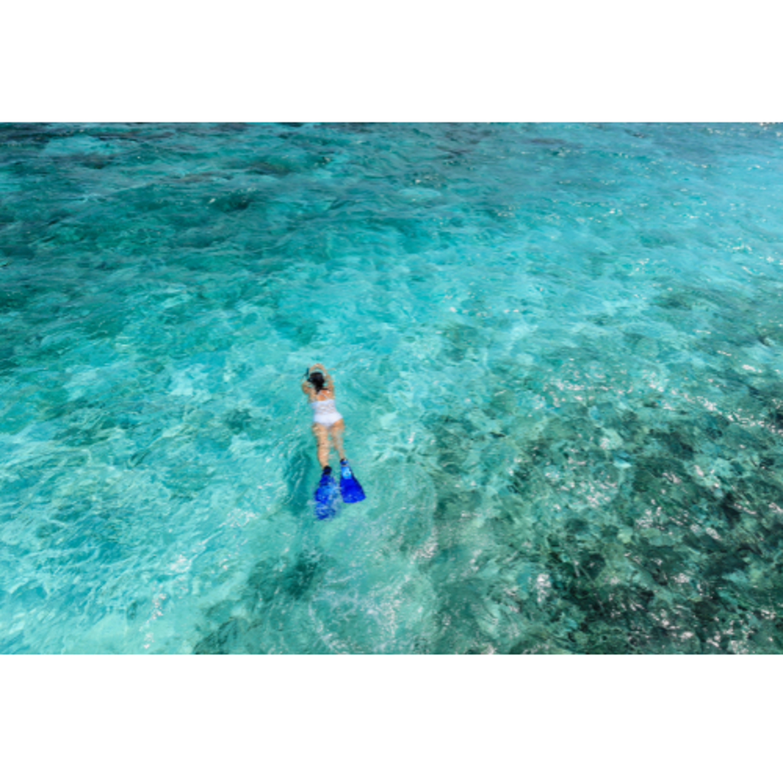 West End Bahamas: Guided Snorkeling Tour – West End, Bahamas