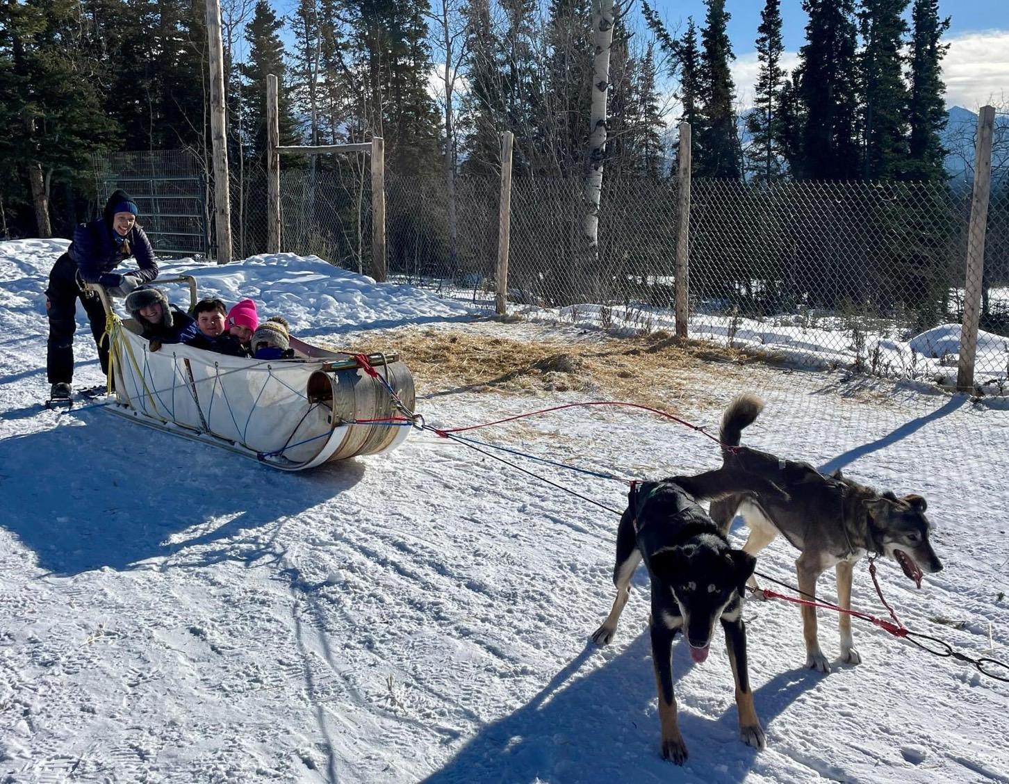 Whitehorse Day Tour Dog Sledding & Indigenous Culture Tour – Whitehorse, Canada