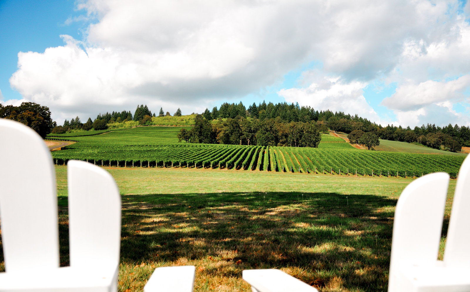 Willamette Valley Wine Tour – Portland, Oregon