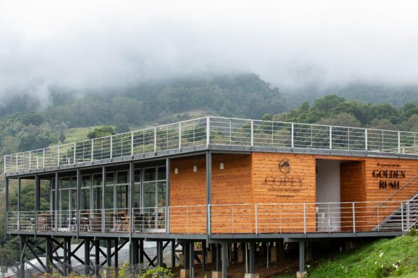 Wine Tour and Golden Rush – Copey Vinicola Tour de Vino – Golden Rush, Costa Rica