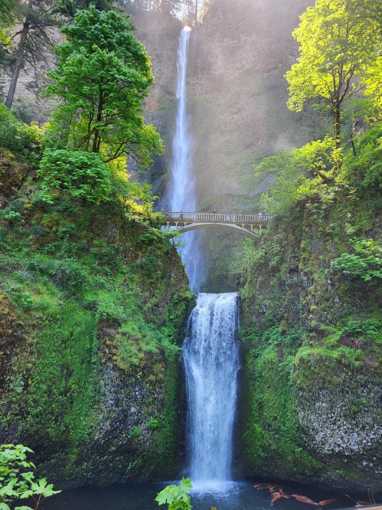 Wonderful Waterfalls of Columbia River Gorge Tour – Latourell Falls, Oregon