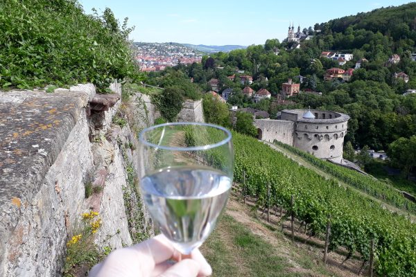 Wuerzburg: Vineyard rally with wine tasting and group dynamics – Würzburg, Germany