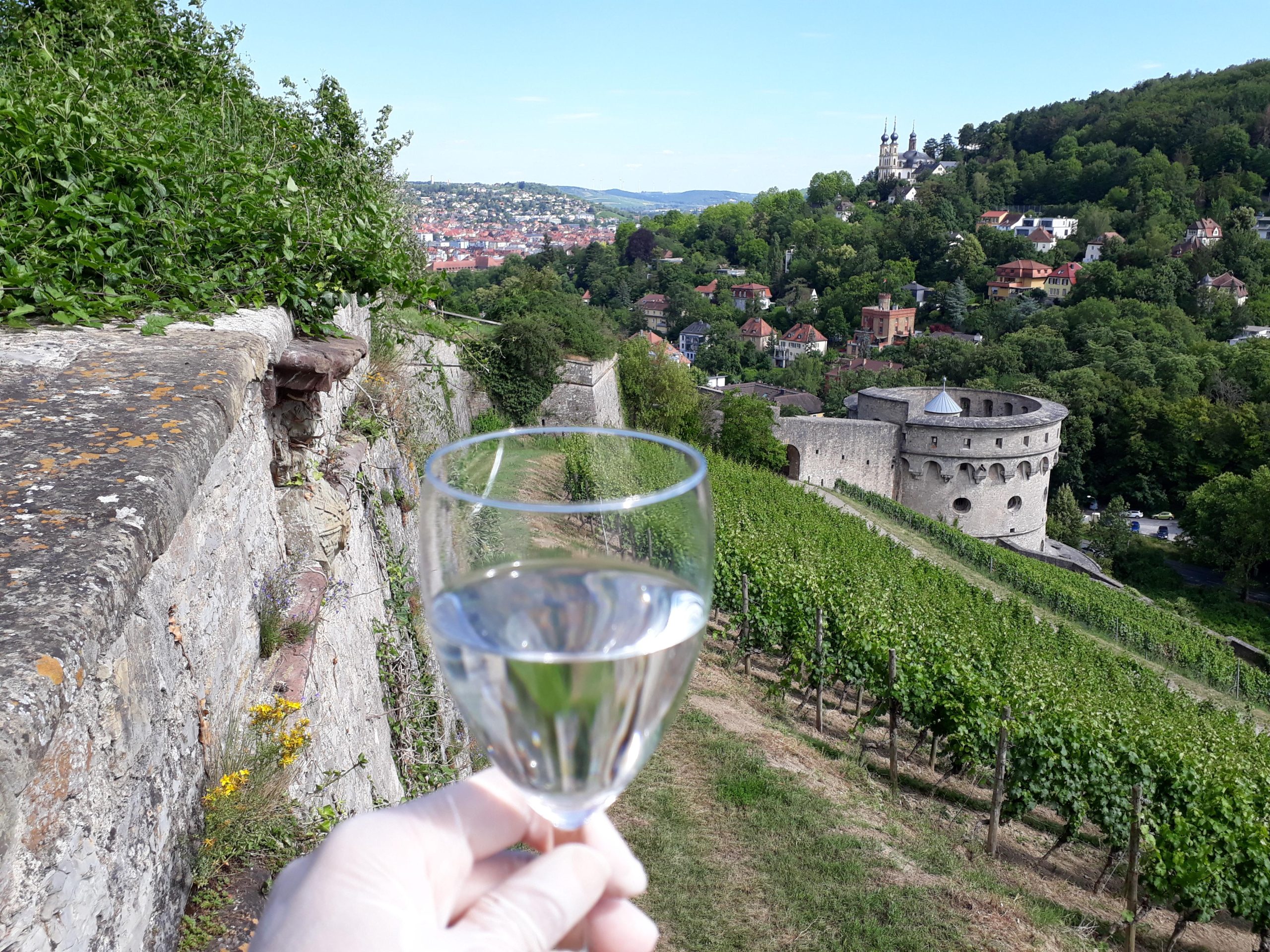 Wuerzburg: Vineyard rally with wine tasting and group dynamics – Würzburg, Germany