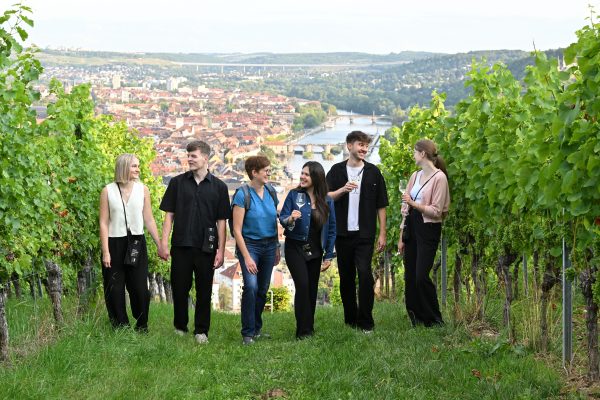 Würzburg: Vineyard tour including wine cellar, 5 wine tastings, and pastries – Würzburg, Germany