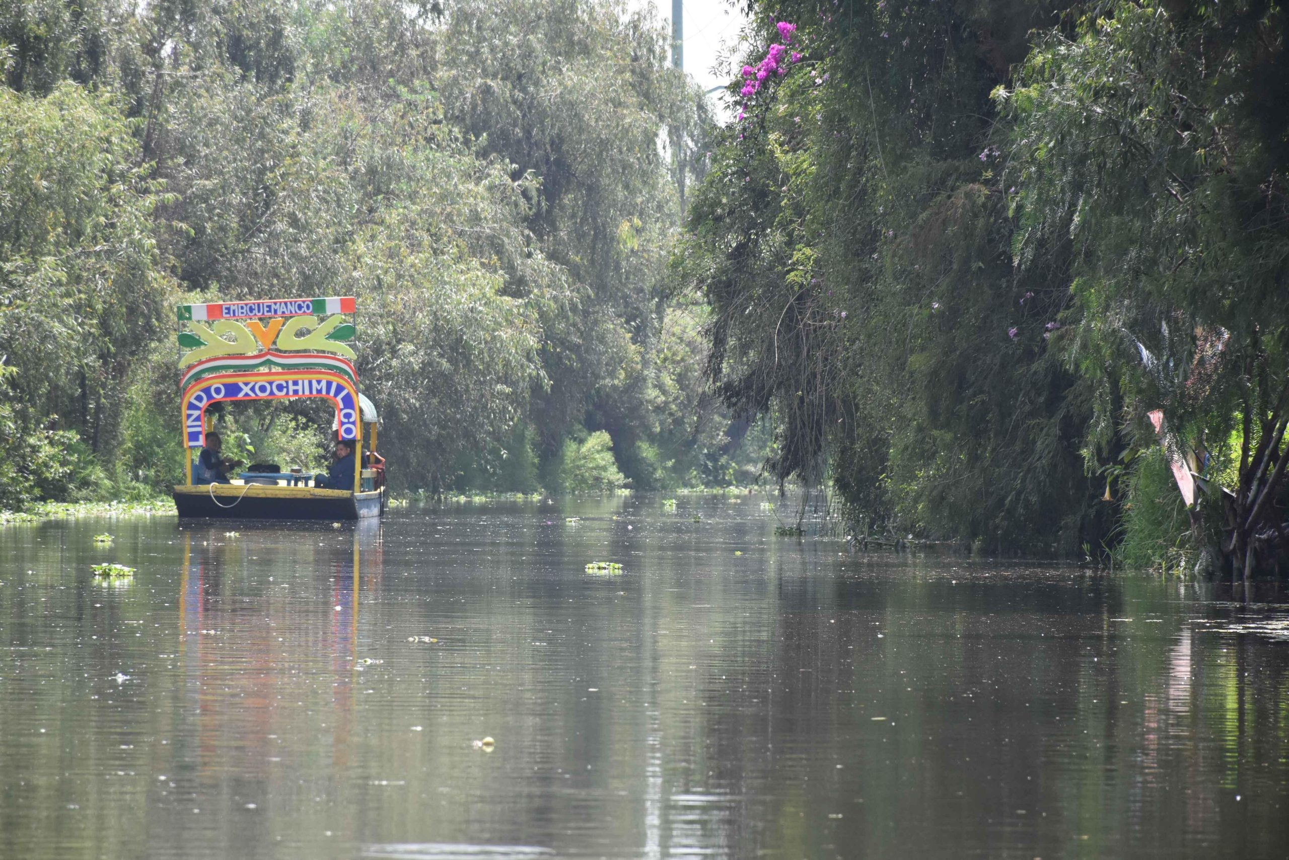 Xochimilco Serene: A Calm Cultural Escape from the Crowds – Mexico City, Mexico