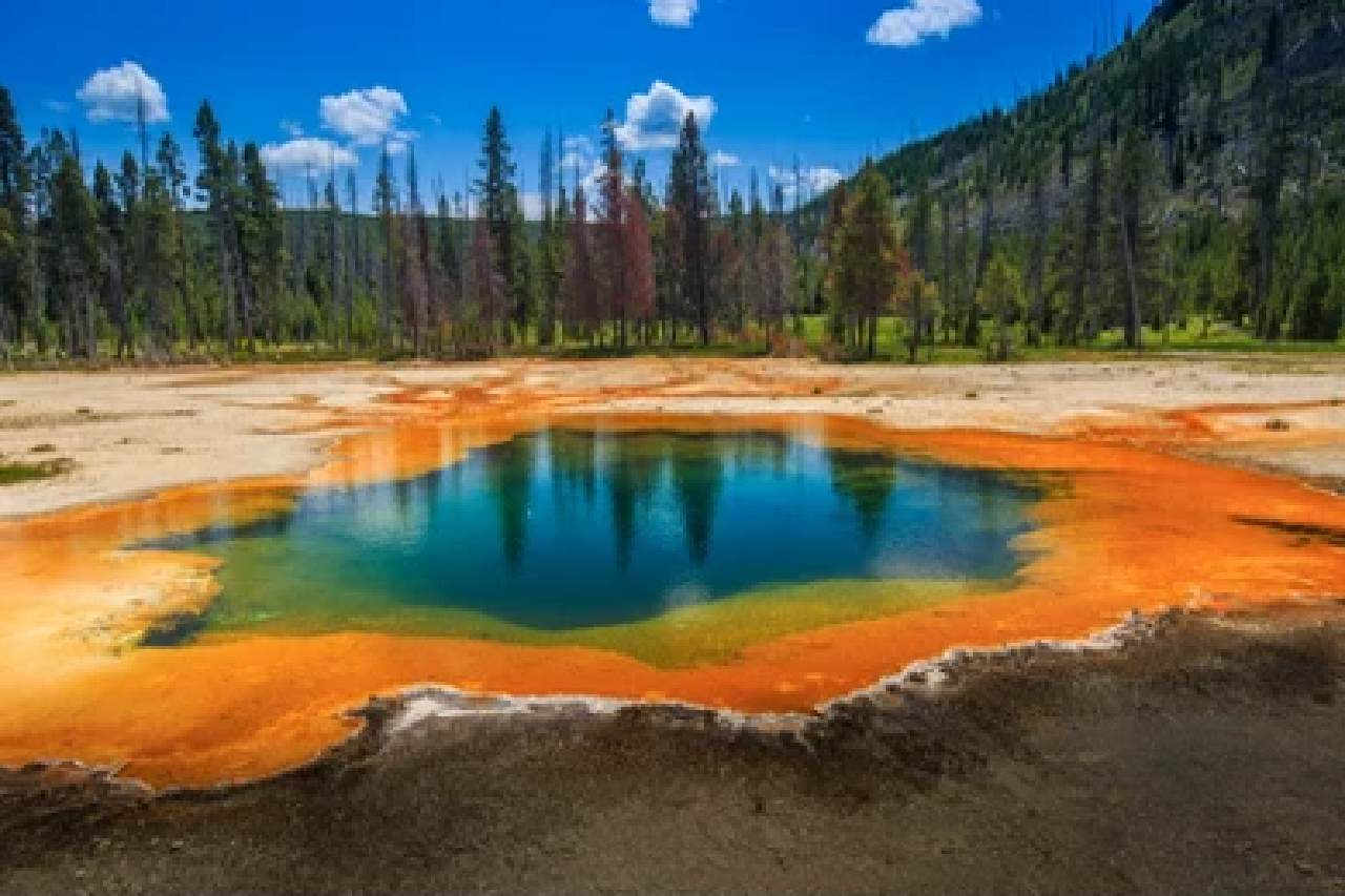 Yellowstone & Grand Tetons: 4-Day/3-Night Wildlife Adventure – Old Faithful Inn, Wyoming