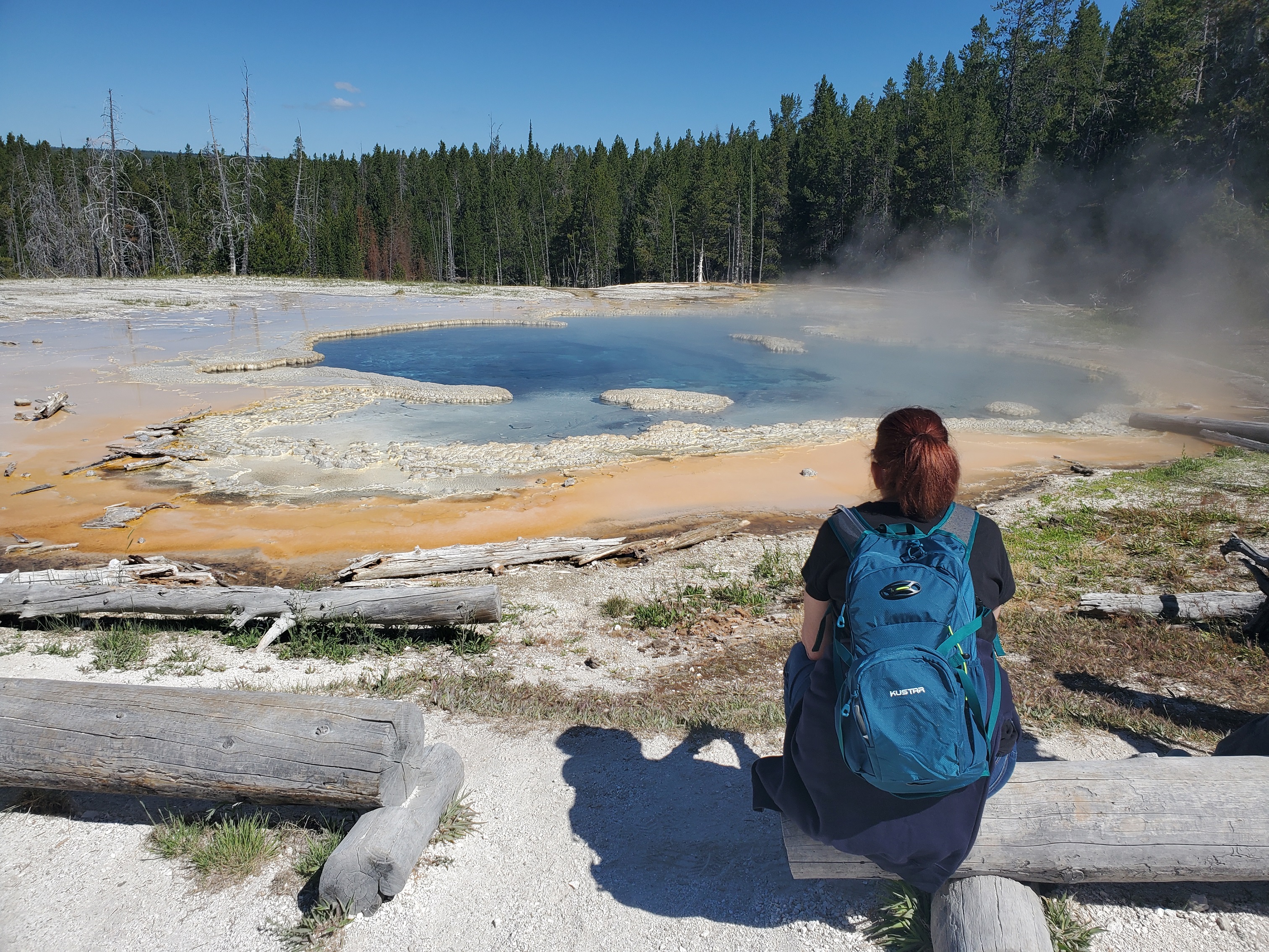 Yellowstone: Upper Geyser Basin Hike with Lunch – Riverside Geyser, Wyoming