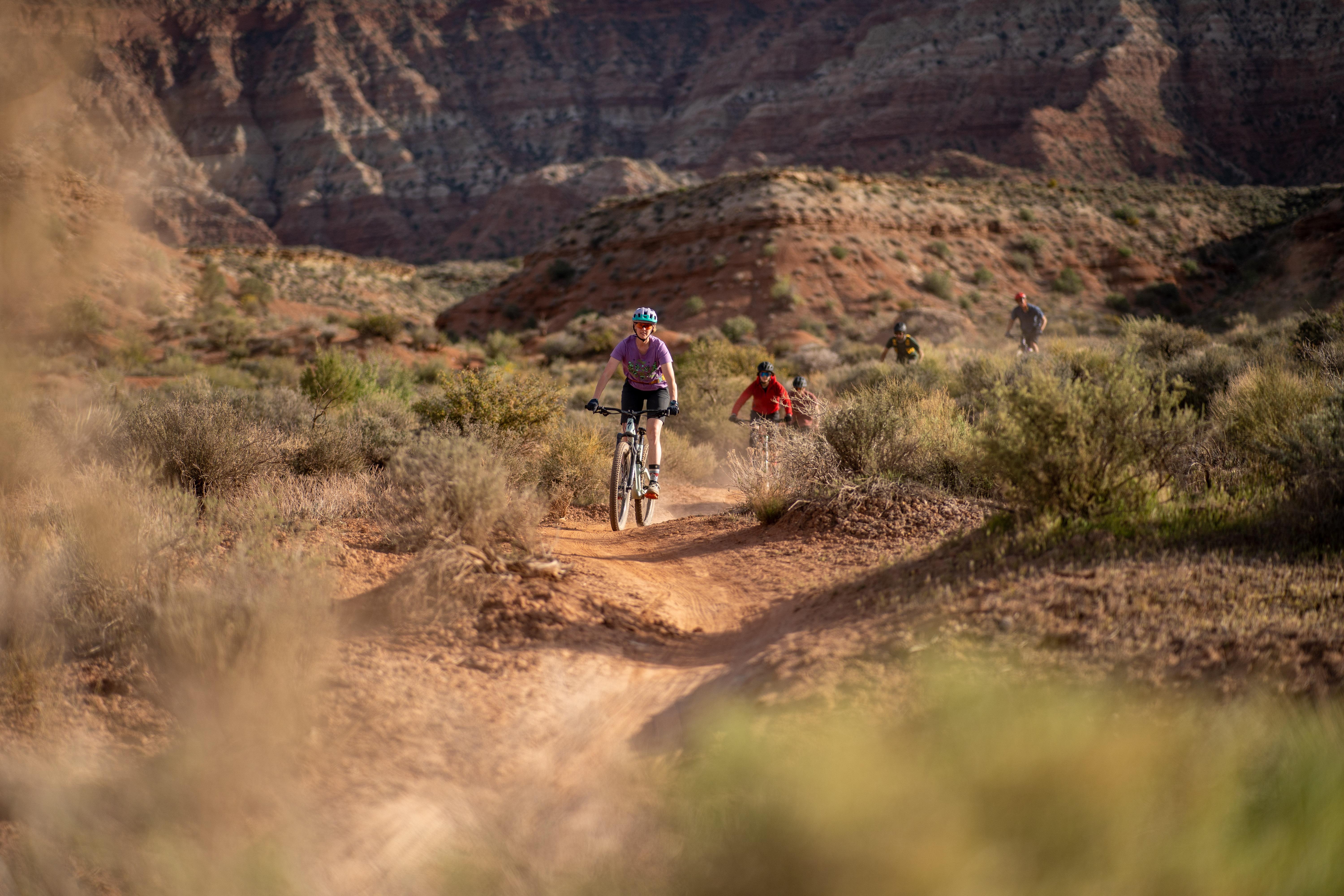 Zion: Guided Half Day Mountain Bike Tour – Zion National Park, Utah