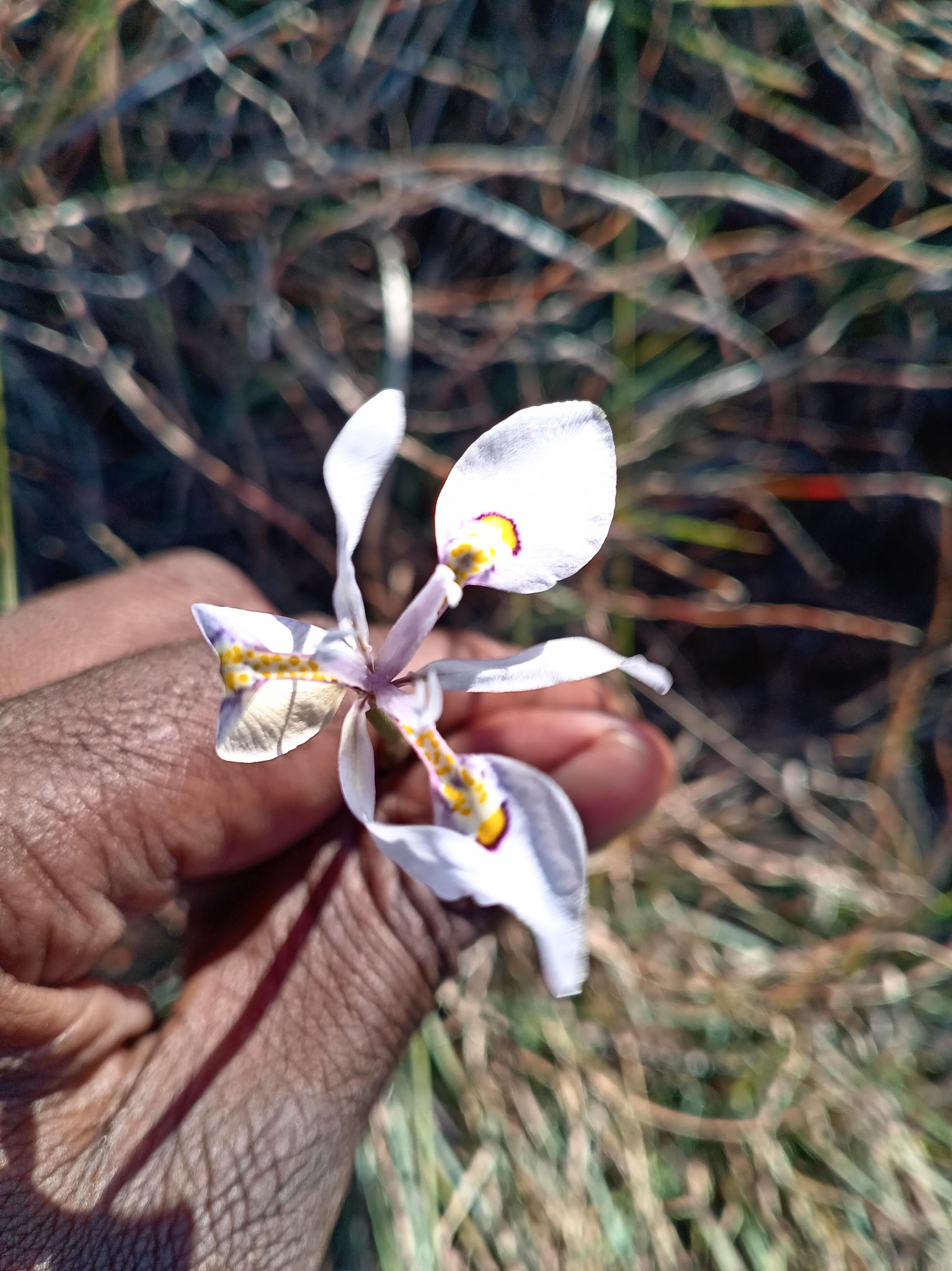 Zuurberg Mountain Range Walking Tour & BBQ – Addo Elephant National Park, South Africa