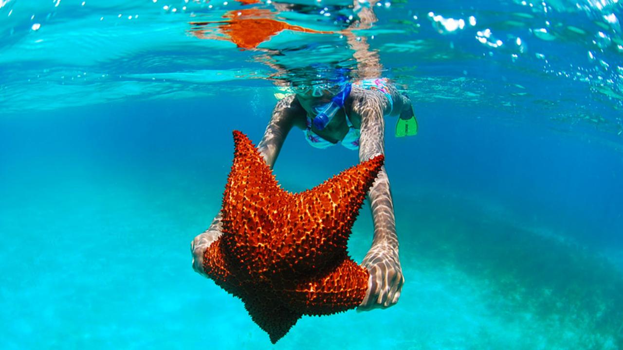 isla saona día completo – Punta Cana, Dominican Republic