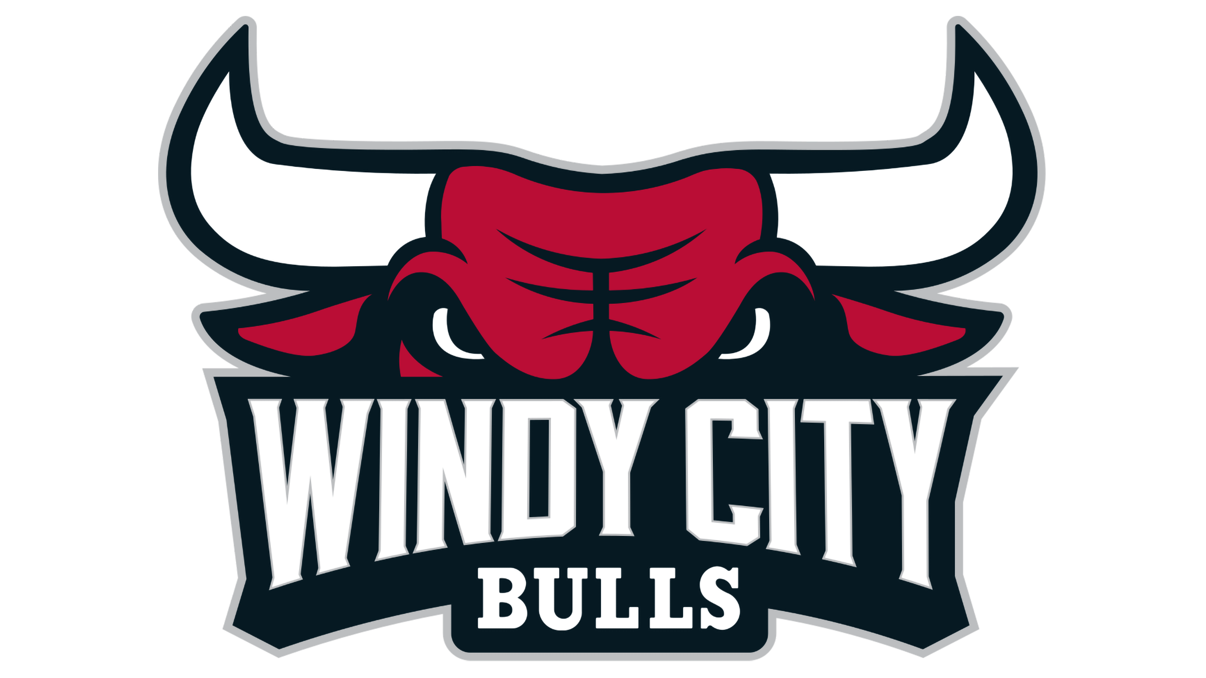 Windy City Bulls vs. Wisconsin Herd at NOW Arena – Hoffman Estates, IL
