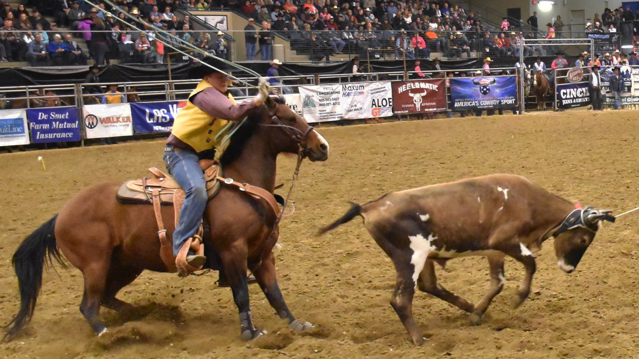 SDSU Stampede Rodeo at Dacotah Bank Center – Brookings, SD