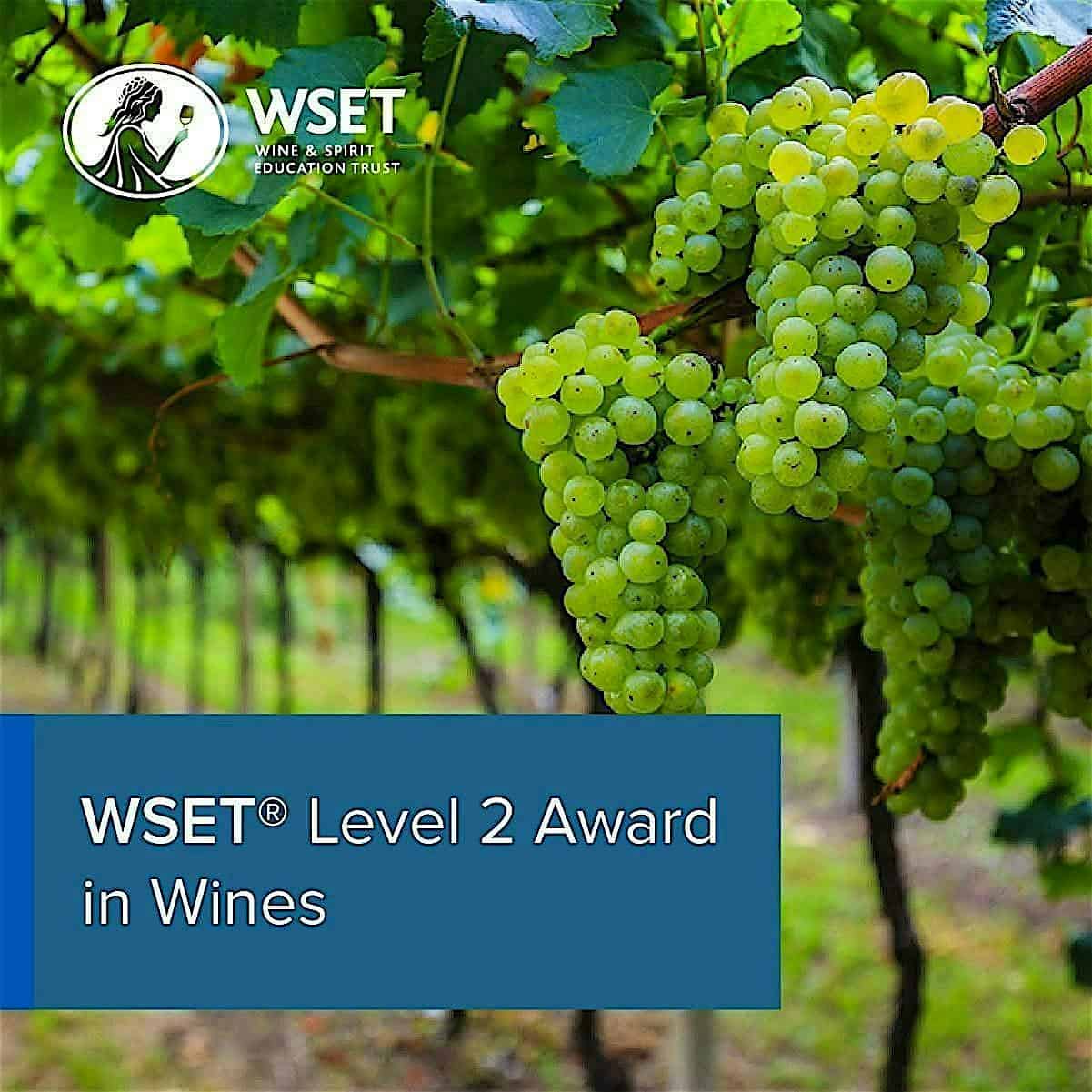 WSET Level 2 Award in Wines : 3 week course. Starting April 15th at Domaine Artefact Vineyard & Winery – Escondido, CA