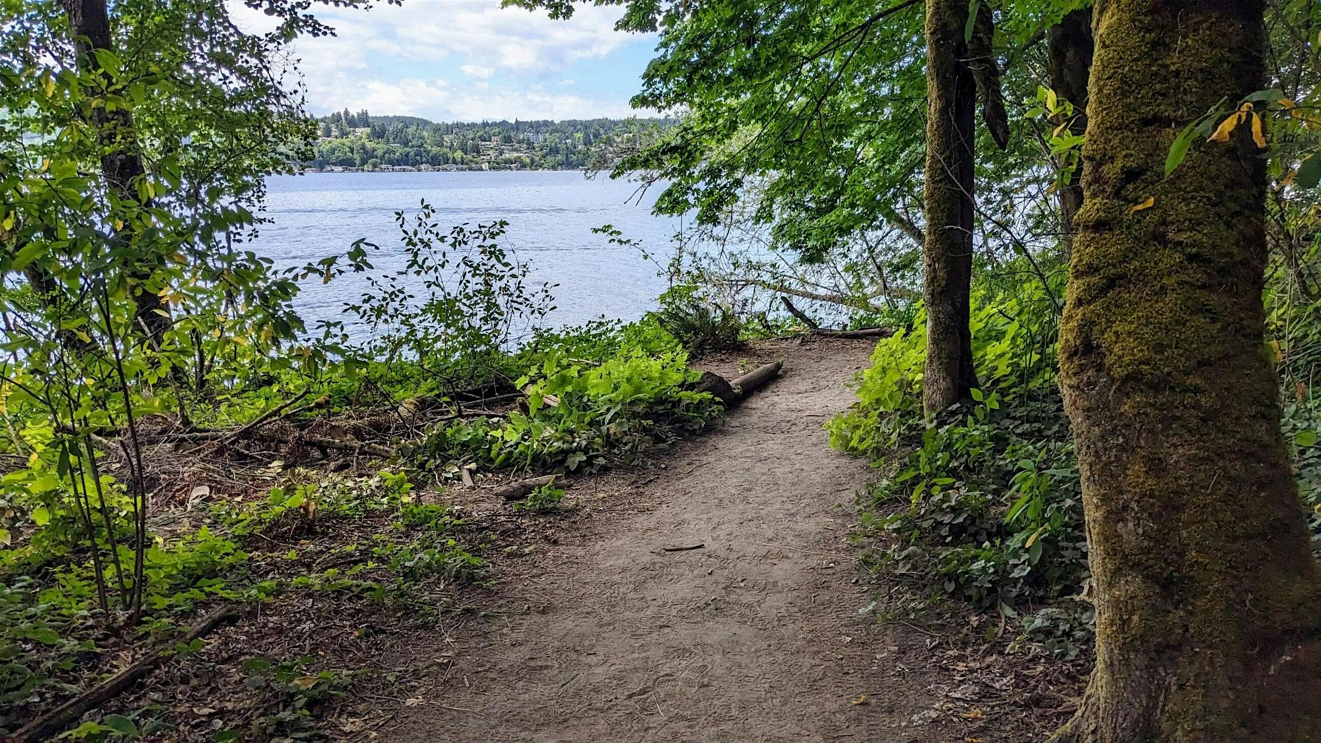 Saint Edward State Park Restoration Work Party: April at Environmental Education and Research Center (EERC) St. Edward State Park Gym Annex – Kenmore, WA