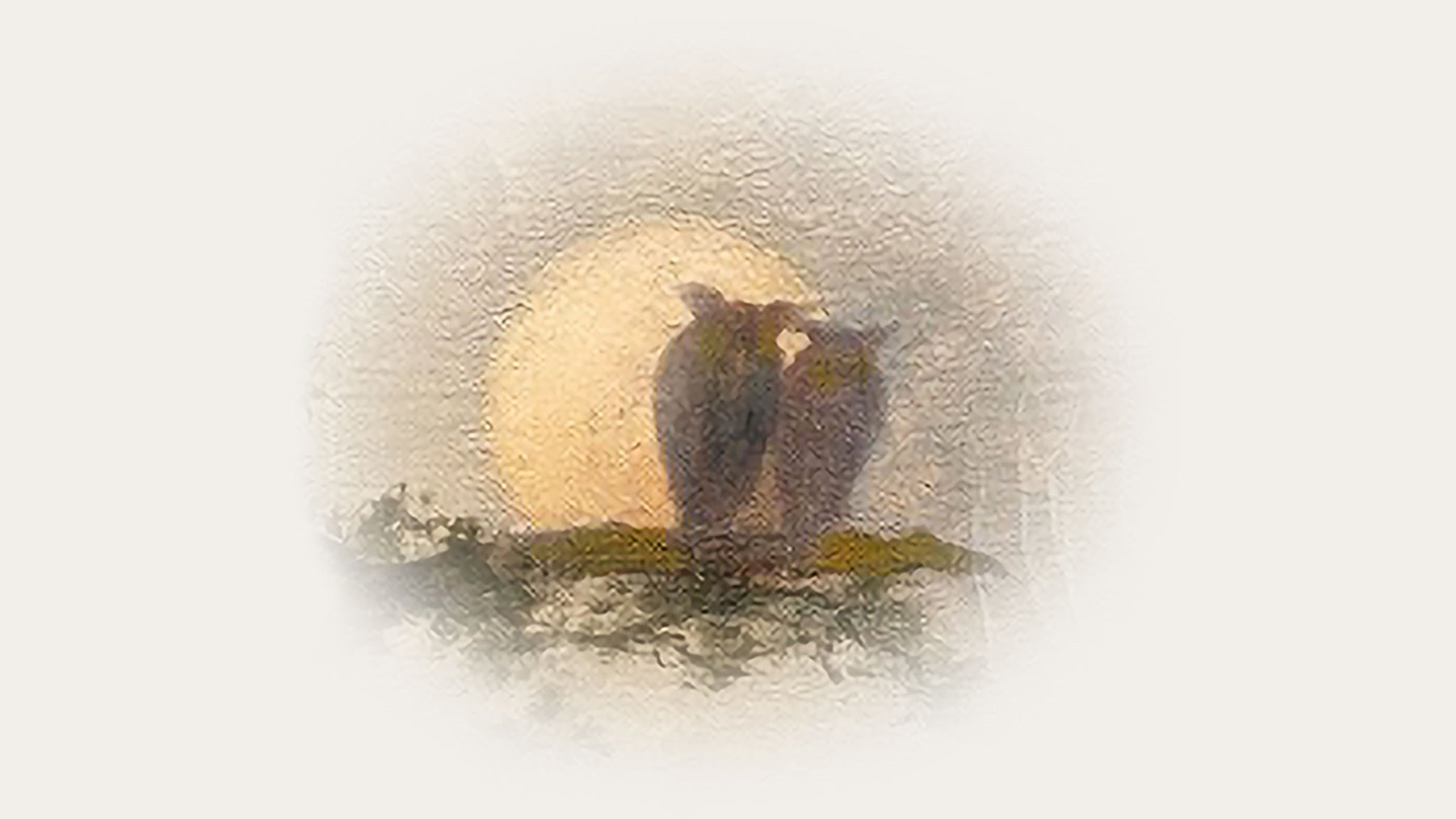 Paul Simon at FirstBank Amphitheater – Franklin, TN