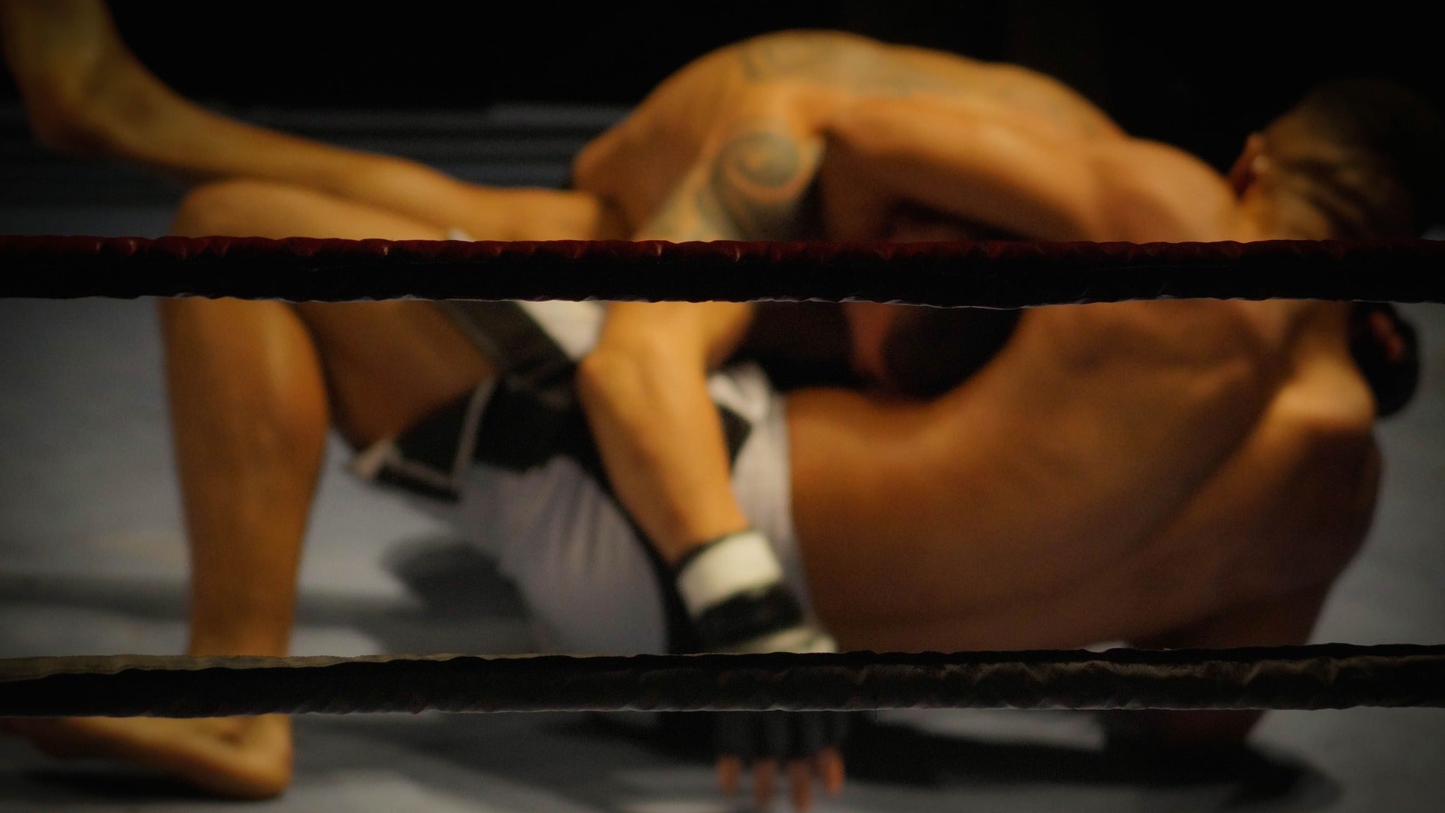 ARES STRASBOURG – MMA at ZENITH EUROPE STRASBOURG – Eckbolsheim, France