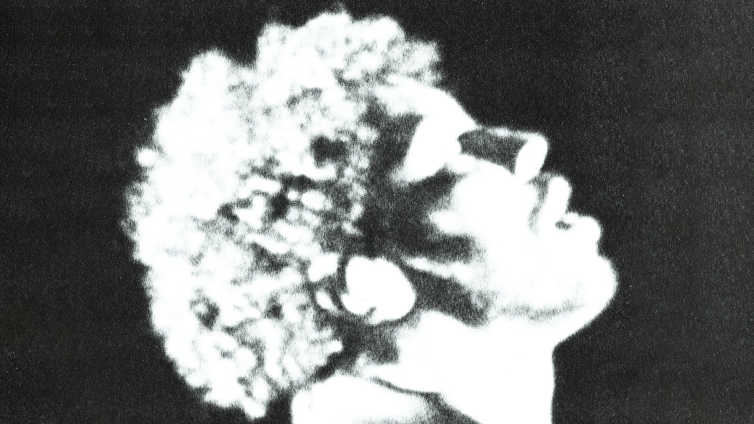 DISIZ at ZENITH EUROPE STRASBOURG – Eckbolsheim, France