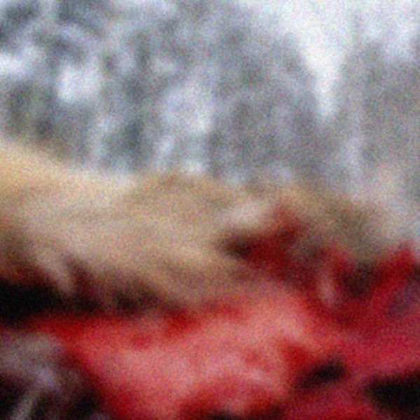 wolvesmouth – fri, mar 6th at – Hollywood, CA