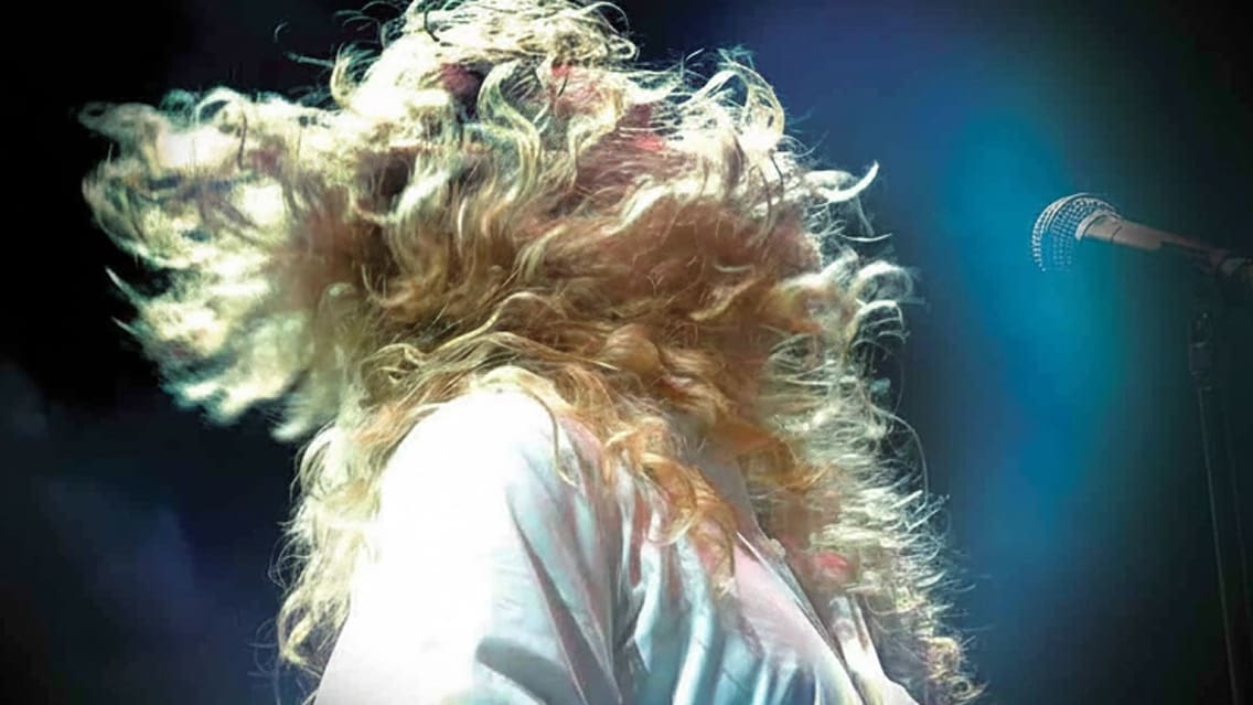 Megadeth – A Night In Buenos Aires at VEEPS – ,