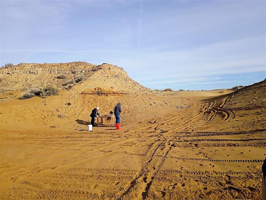 Shoofly Sand Pit (Fossils): Geologic Field Trip at Idaho Museum of Mining and Geology – Boise, ID