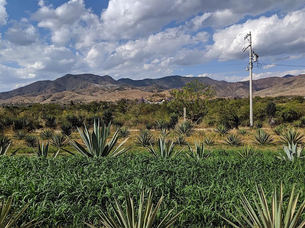 Mezcal Vago Tasting at Bar Crisol/Exo – Tucson, AZ