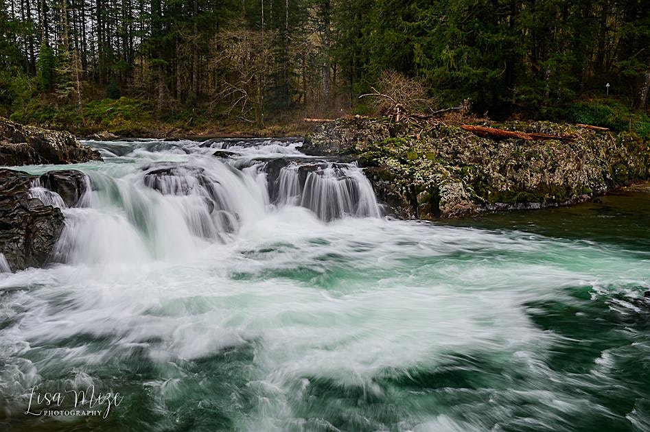 Two Day WOMEN ONLY Photography Workshop to Ridgefield Wildlife Refuge and W at Ridgefield National Wildlife Refuge – Ridgefield, WA