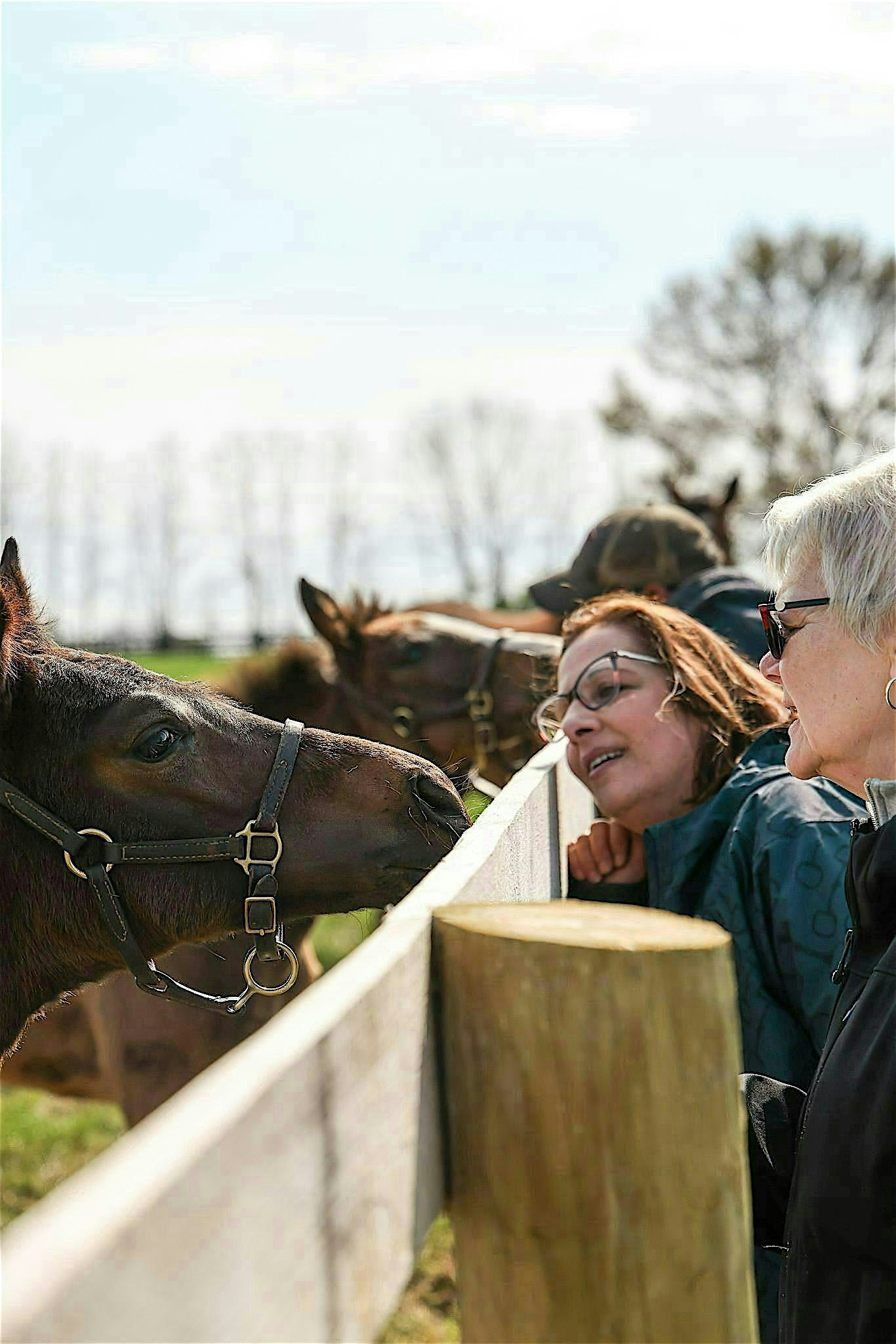 Brunch with Babies at 1936 W Leestown Rd – Midway, KY