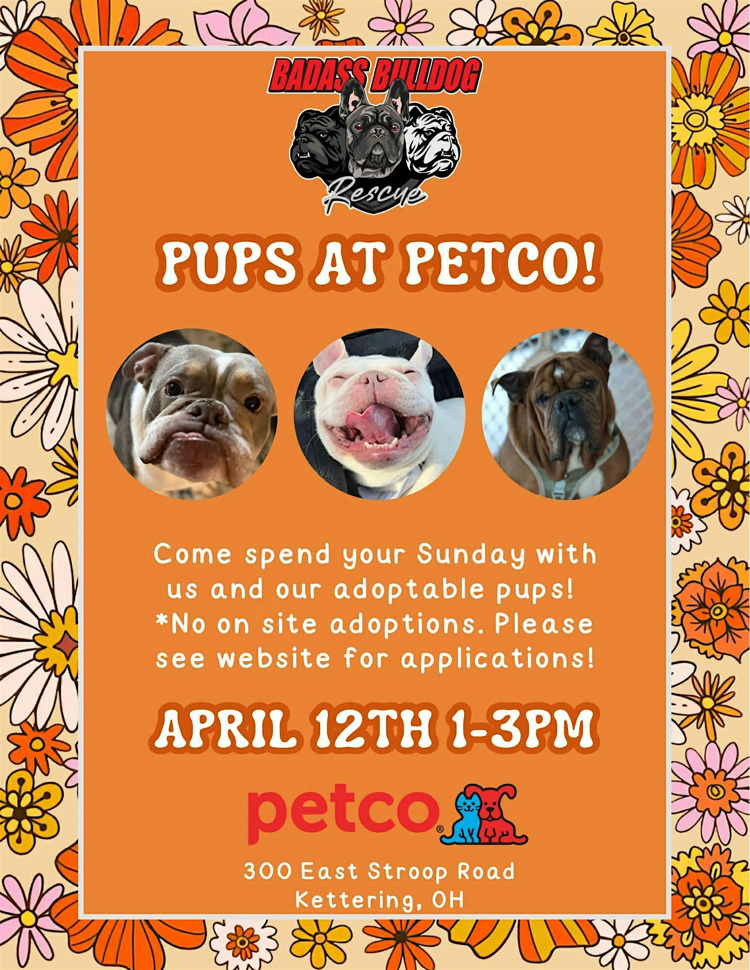 Pups at Petco at Petco – Dayton, OH