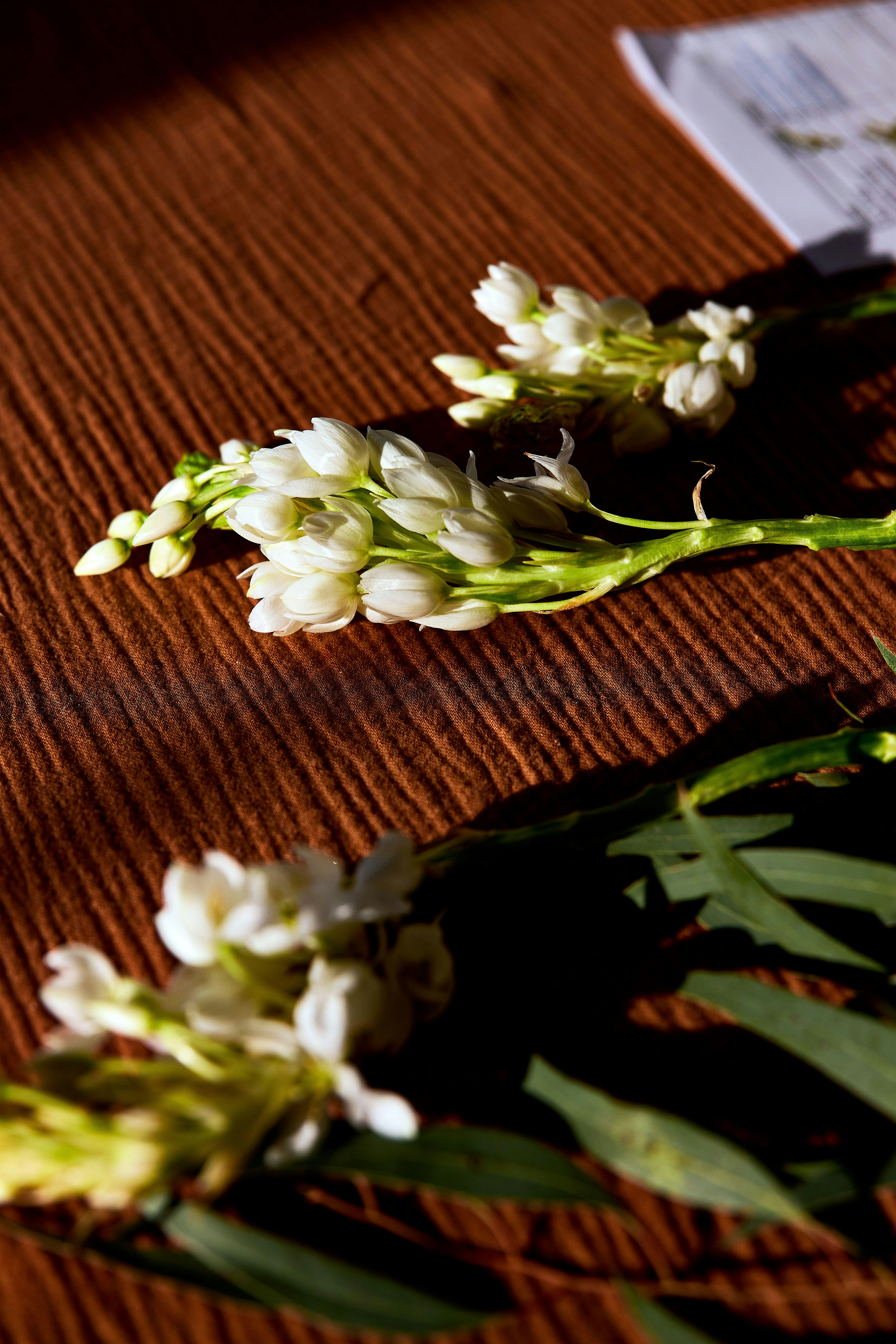 Old Line Kitchen Spring Floral Design Series at Old Line Kitchen & Wine Bar – Columbia, MD