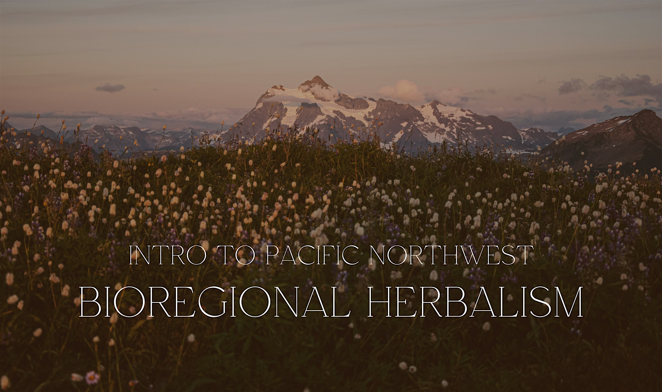 Intro to PNW Bioregional Herbalism at blosm studio – Seattle, WA