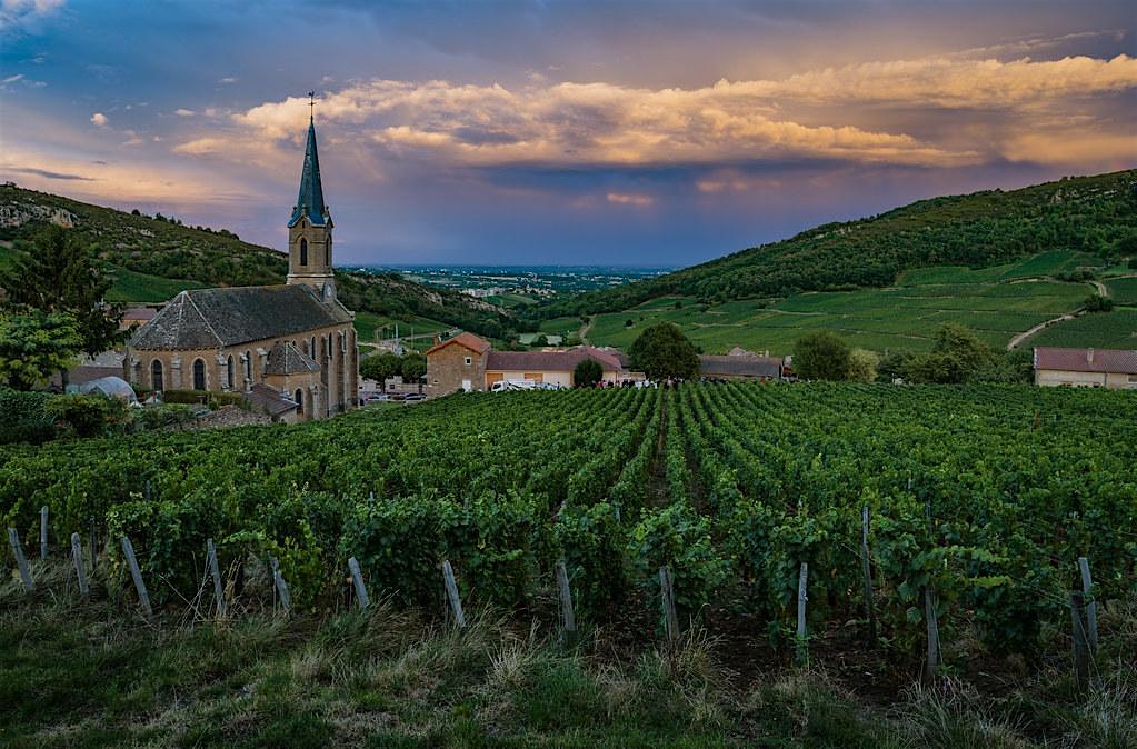 Wines of Loire Tasting @ Esquin Wine & Spirits at Esquin Wine & Spirits – Seattle, WA