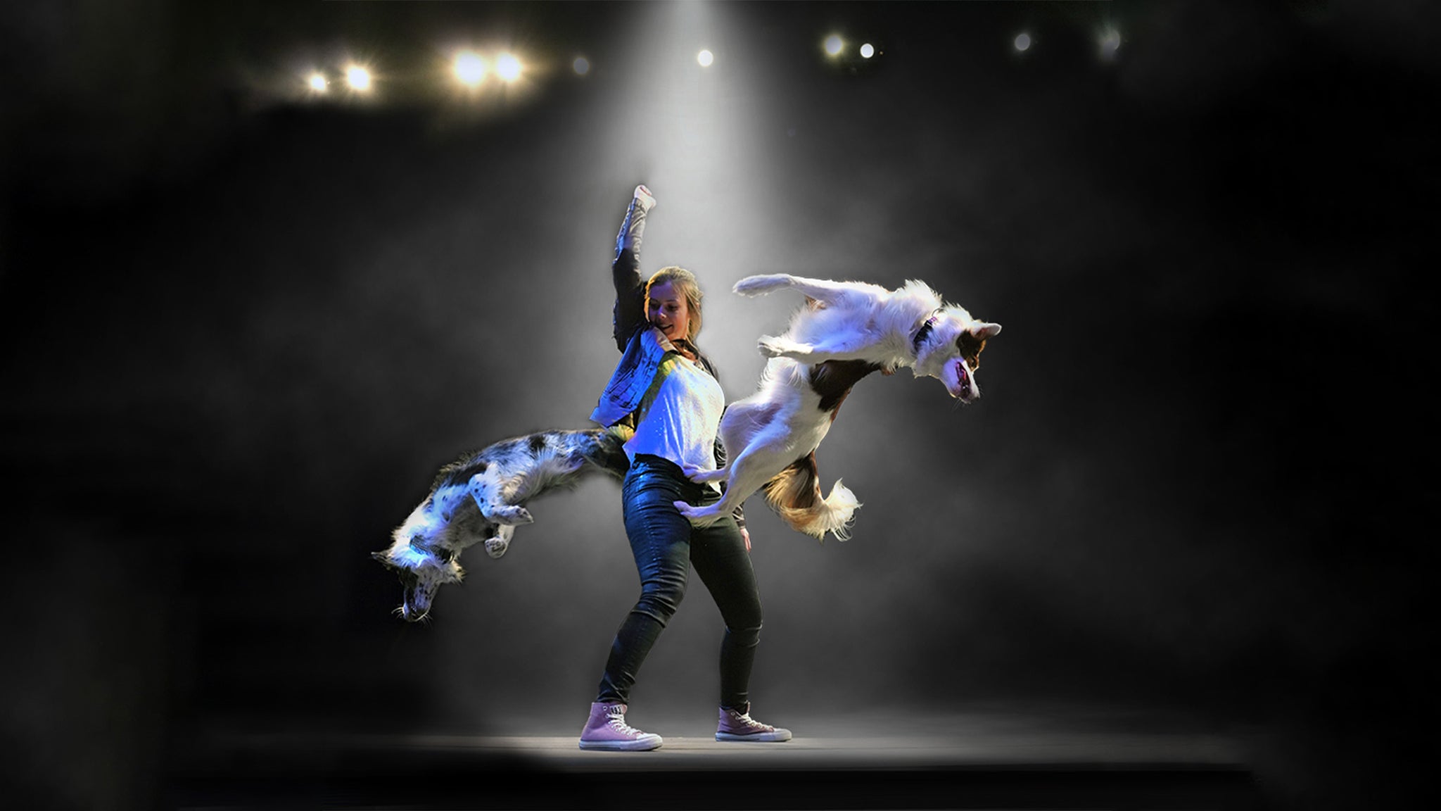 Mutts Gone Nuts at Hoke Theatre – Stocker Arts Center – Elyria, OH