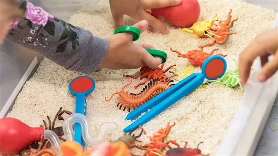 COR X OBR Sensory Playdate at Oberlin Regional Library – Raleigh, NC