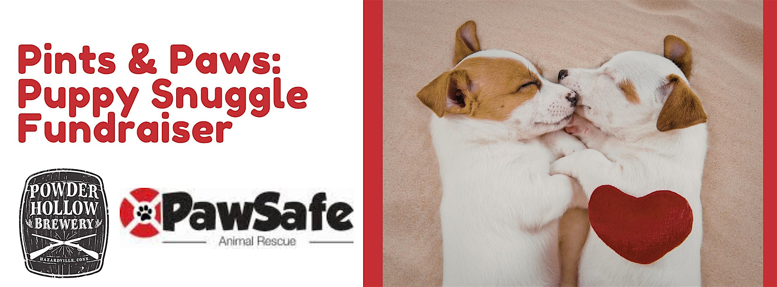 Pints & Paws: Puppy Snuggle Fundraiser for Pawsafe Animal Rescue at Powder Hollow Brewery – Enfield, CT