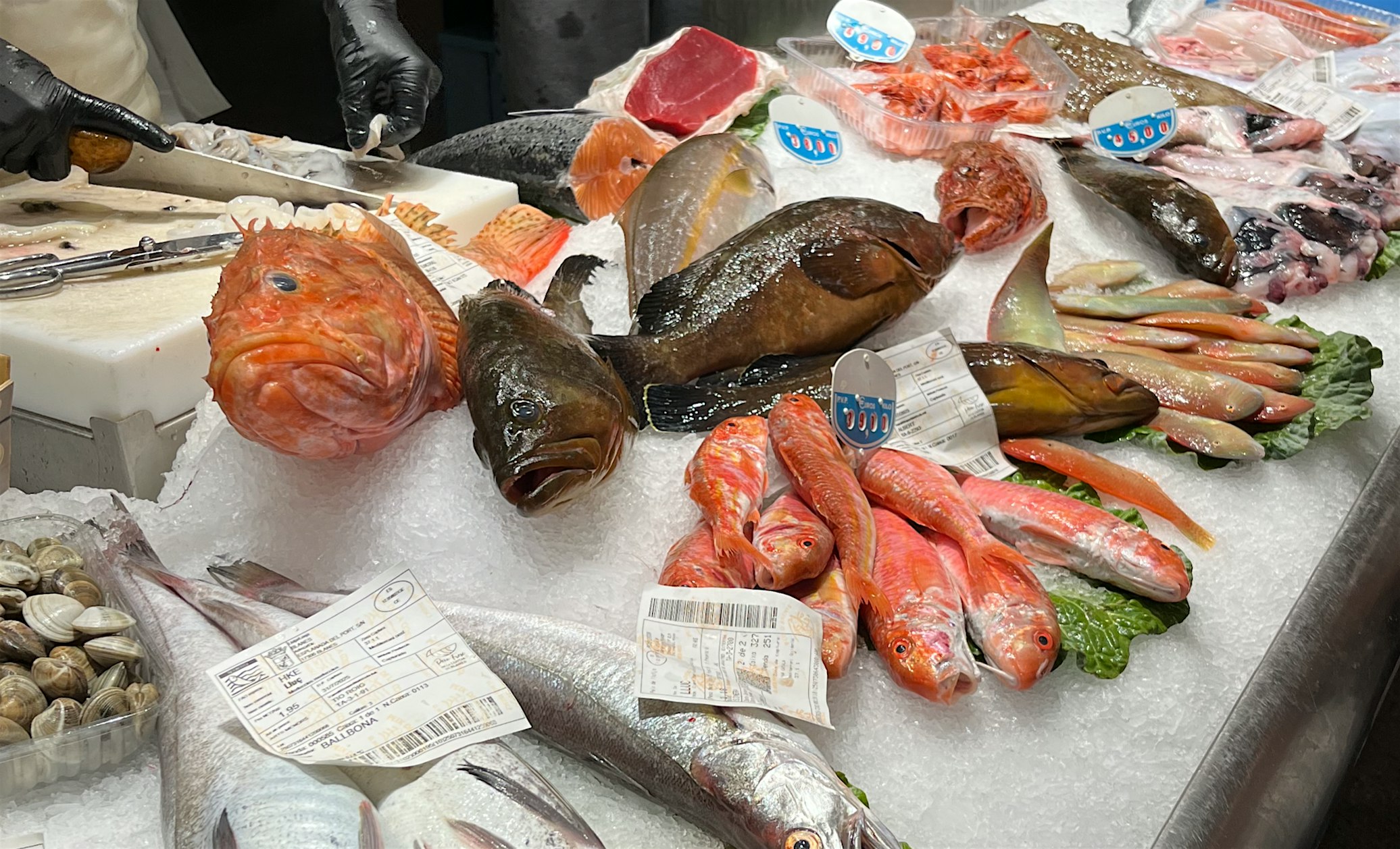 Lessons from Italy and Spain at Kakao Chocolate – Maplewood, MO