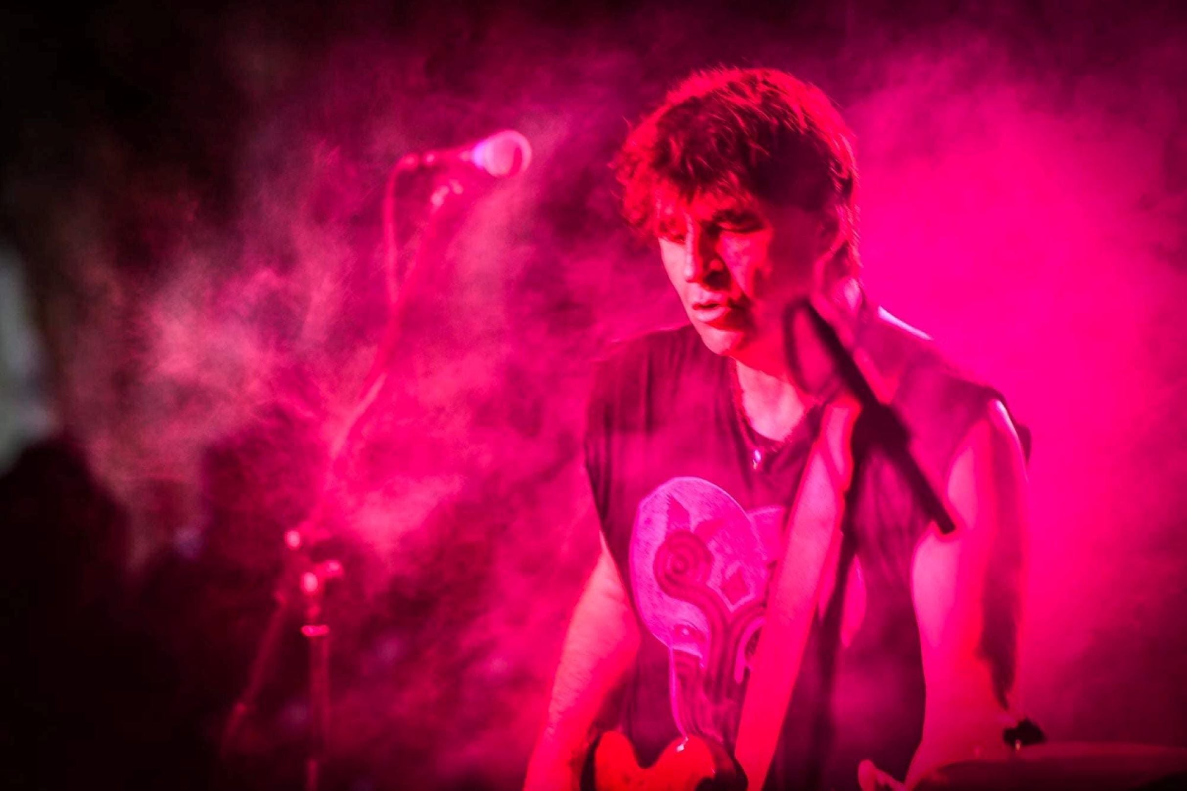 Chameleons at Tulips FTW – Fort Worth, TX