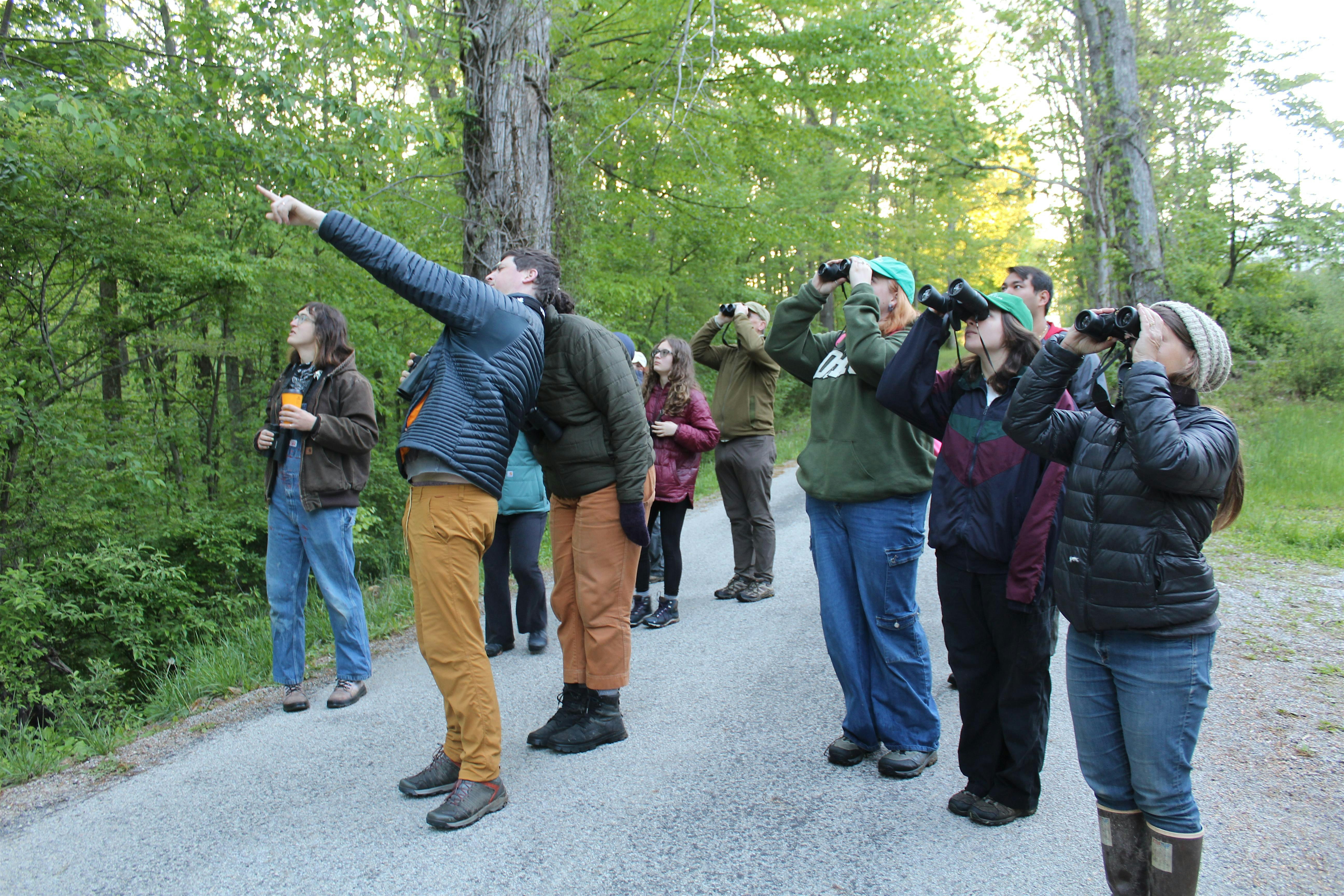 Birds in the Hills, Sponsored by The Ohio Ornithological Society at Camp Oty’okwa – South Bloomingville, OH