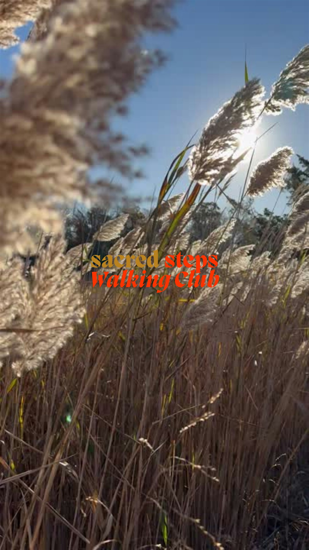 Sacred Steps Walking Club at Cape May Point State Park – Cape May Point, NJ